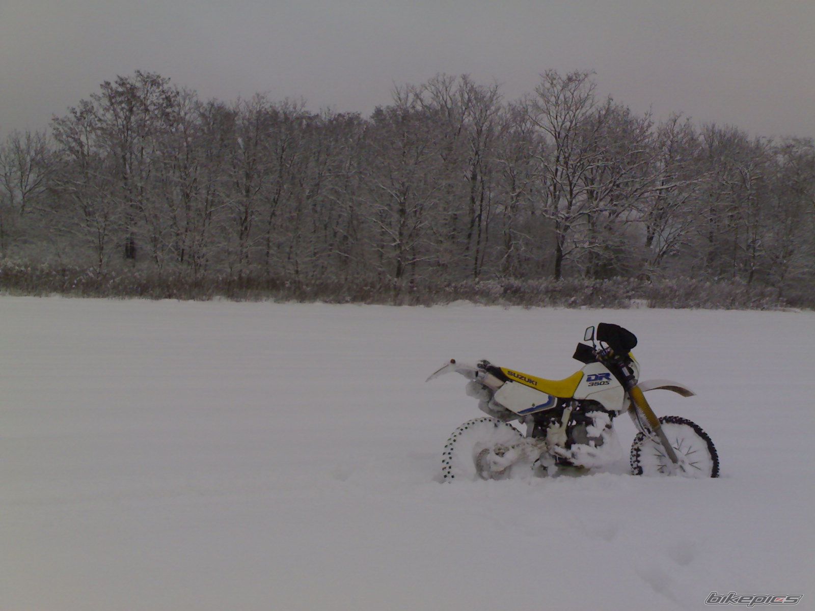 Photo 2128806