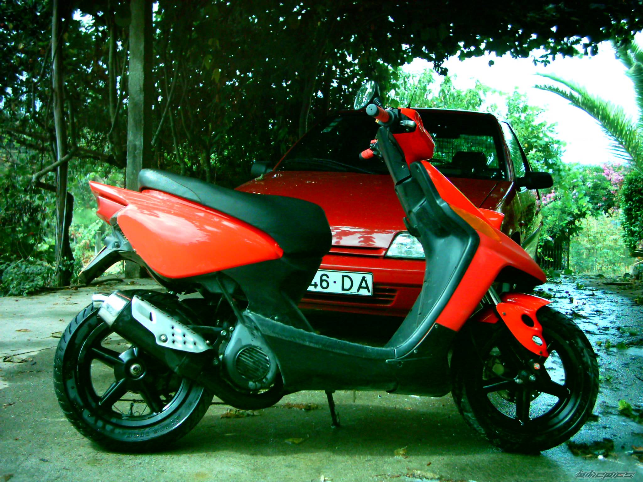 Photo 212906