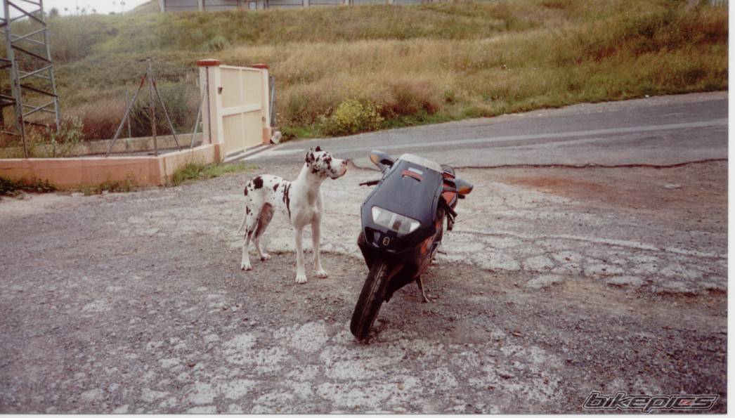 Bike Photo 212909