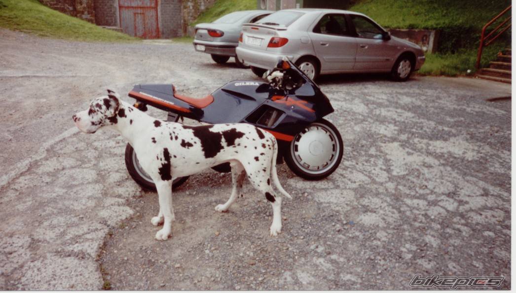Bike Photo 212910