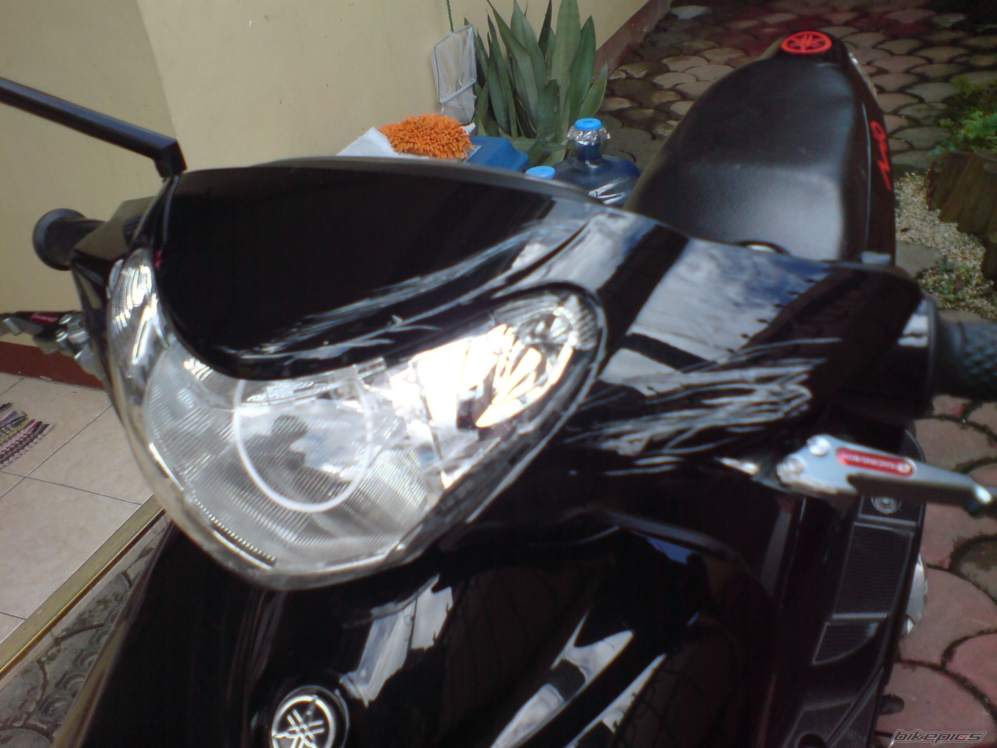 Photo 2129293