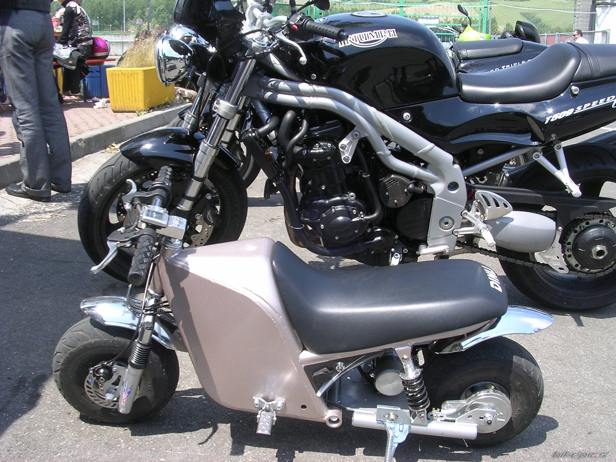 Photo 212943