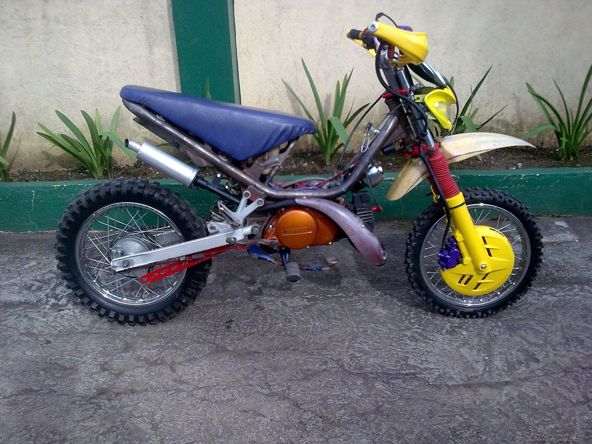 Photo 2129453