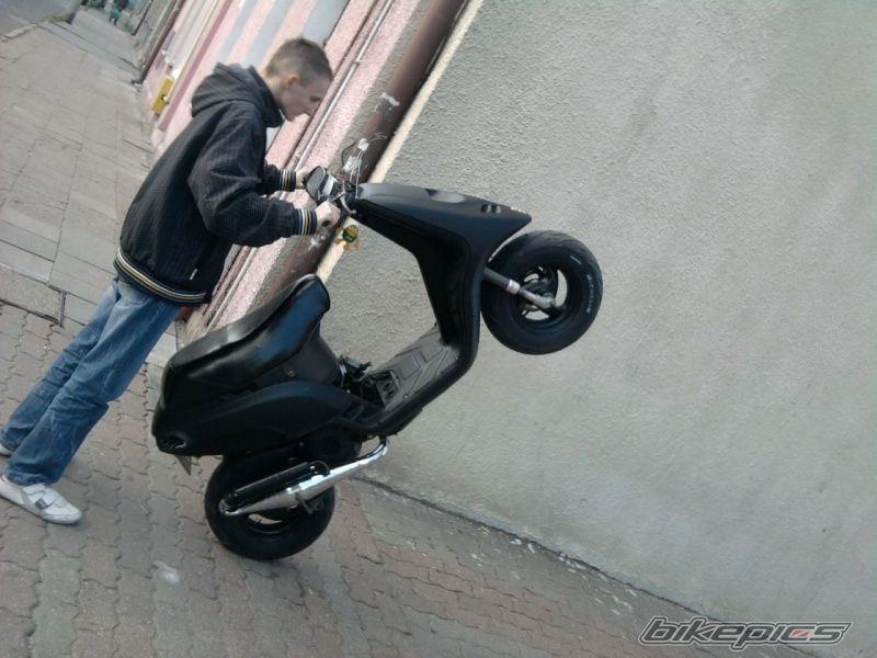 Photo 2129466