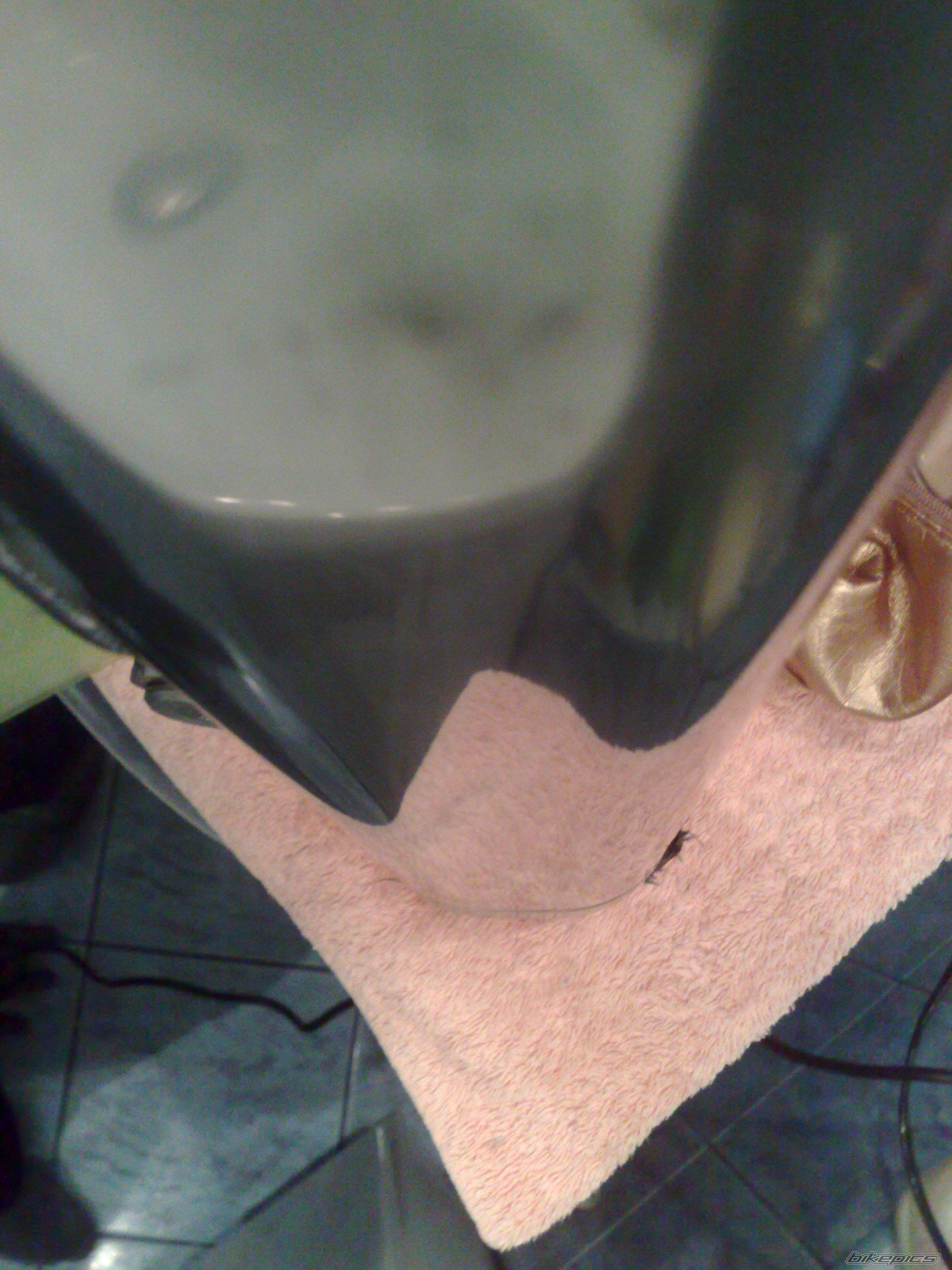 Photo 2129558
