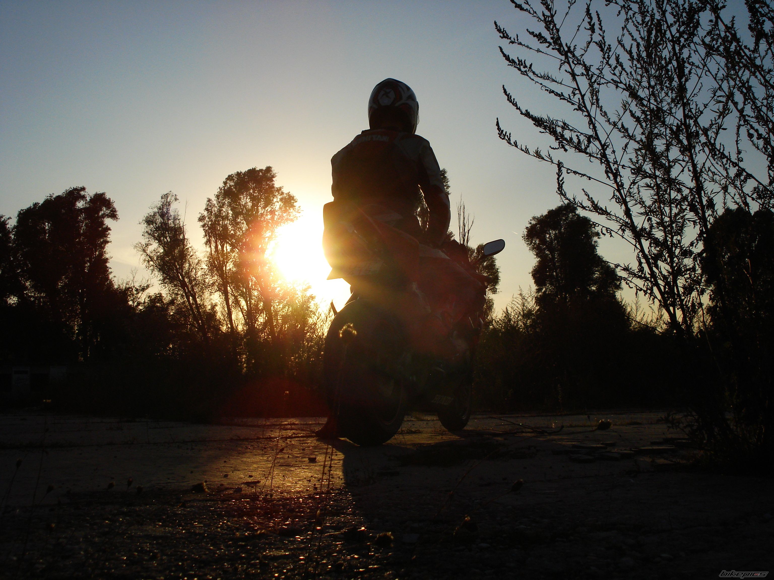 Photo 2129574