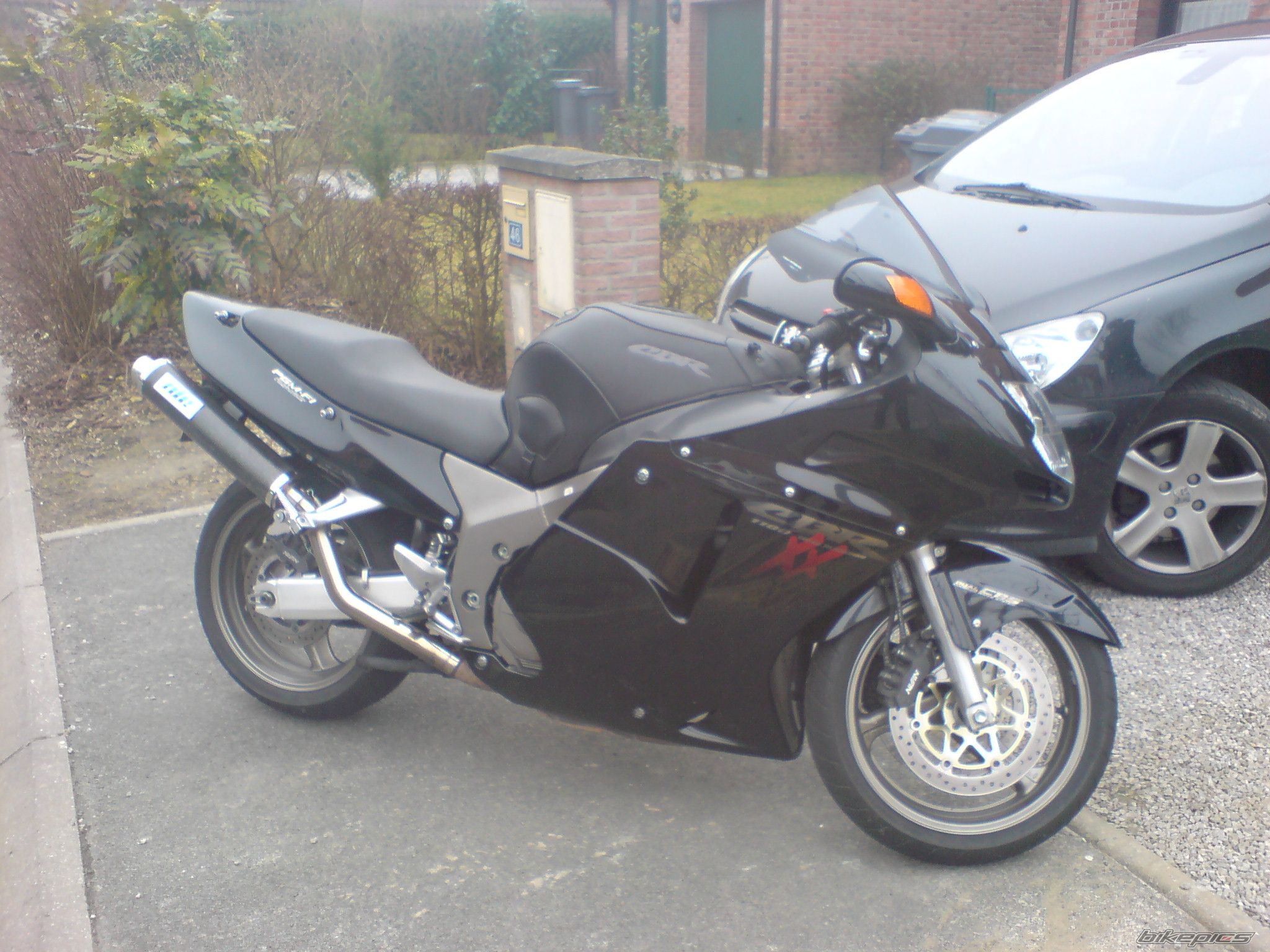 Photo 2129583