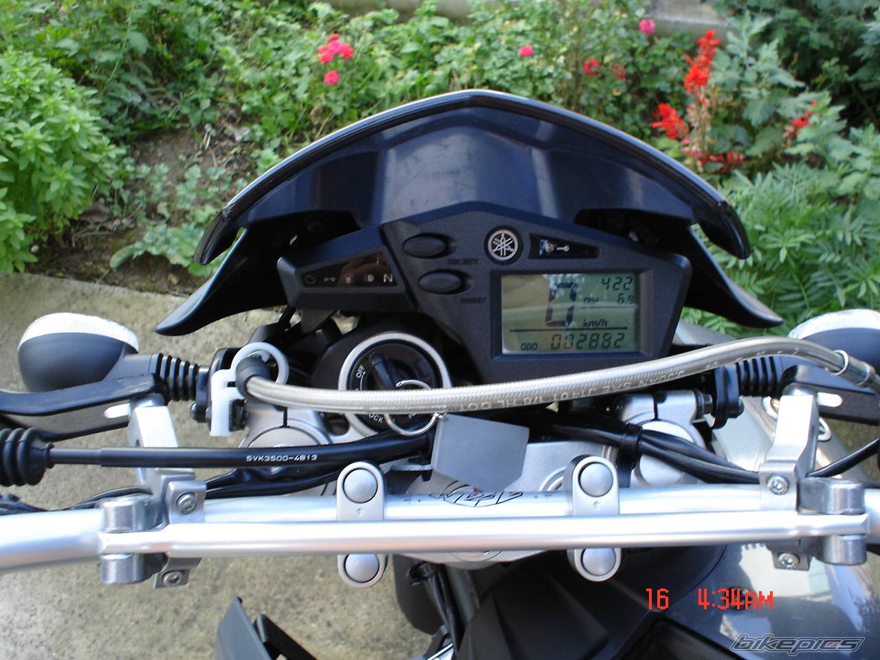 Photo 212973
