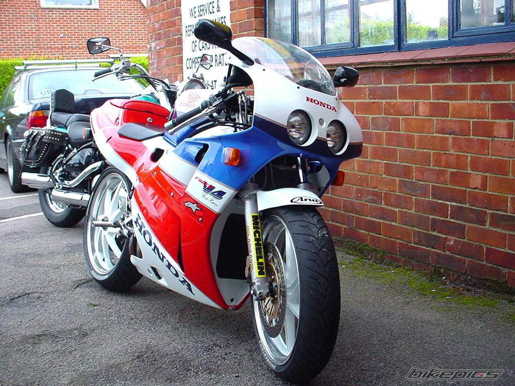 Photo 212982