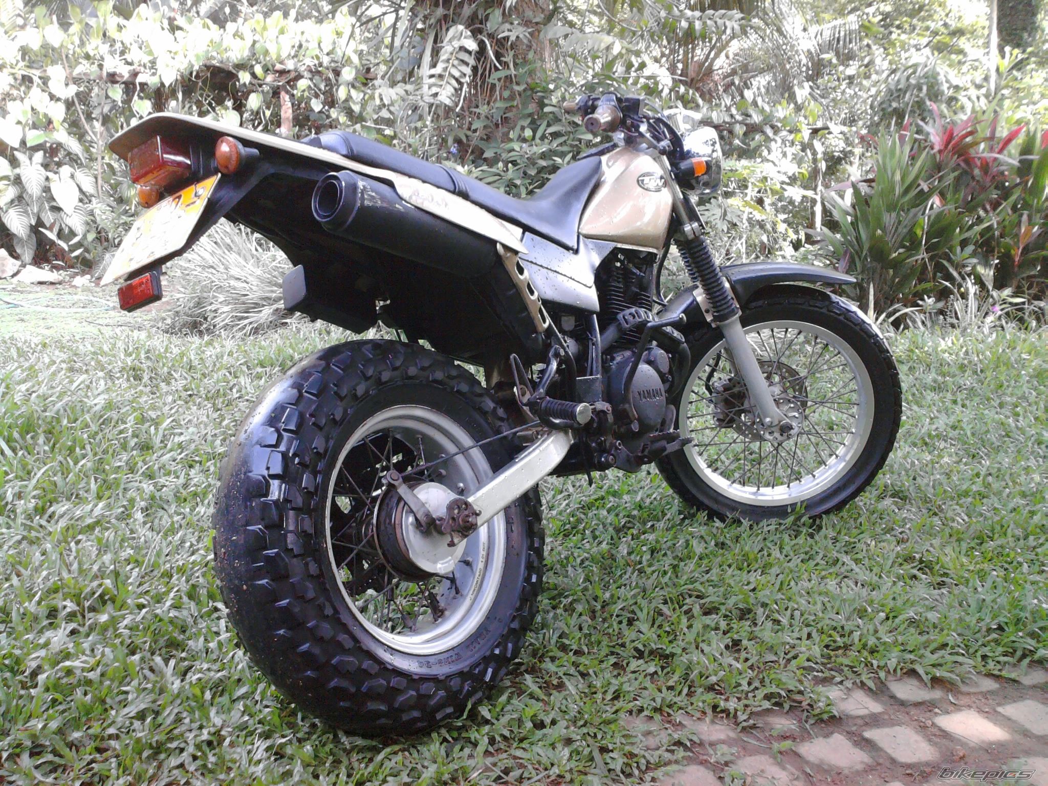 Photo 2129883