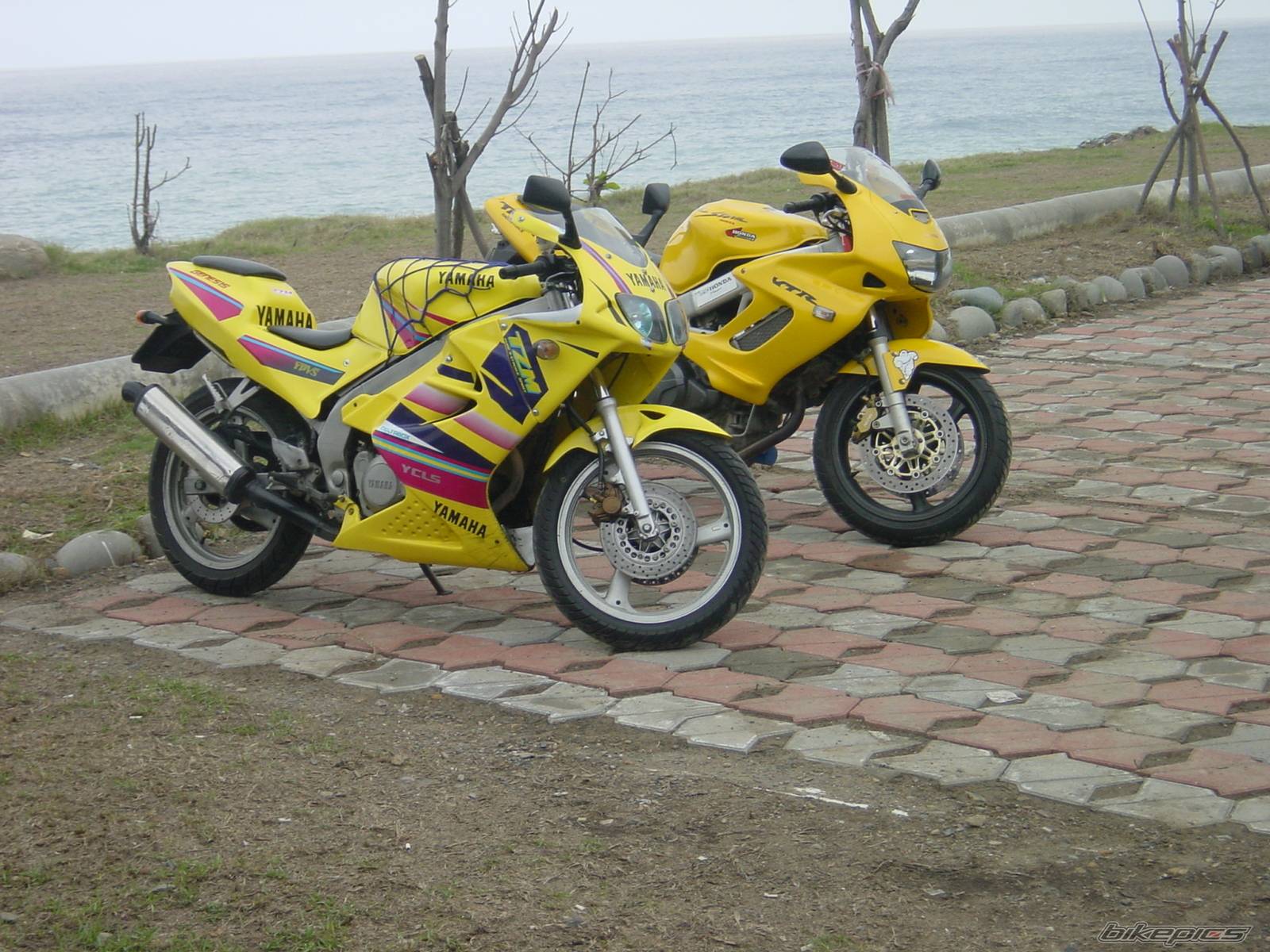 Photo 212990