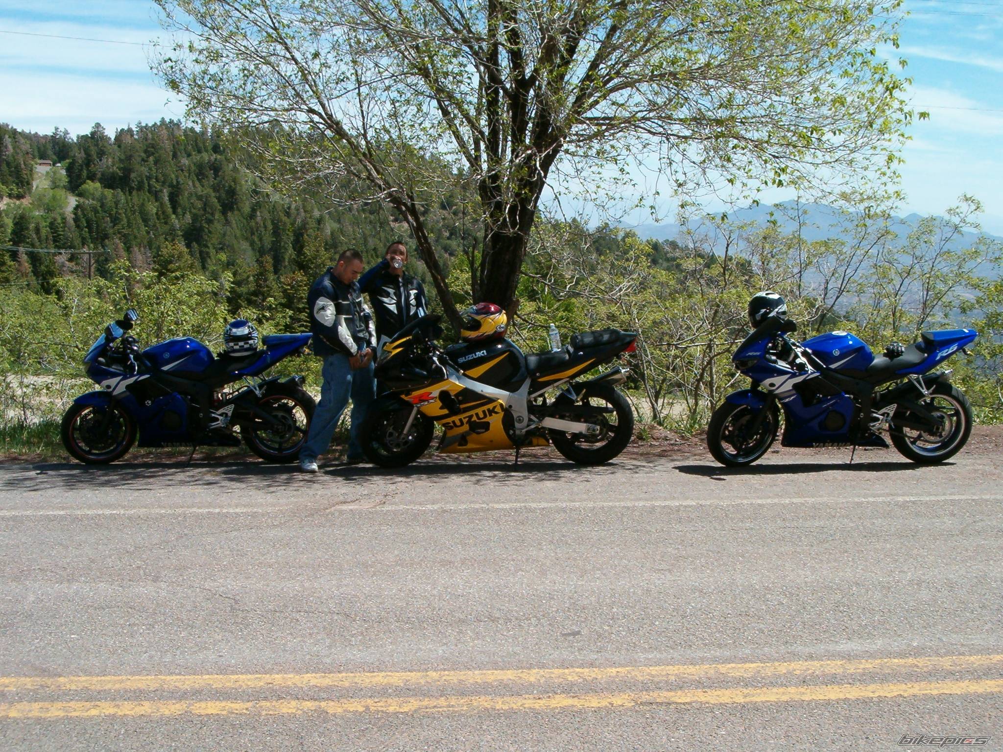 Photo 212995