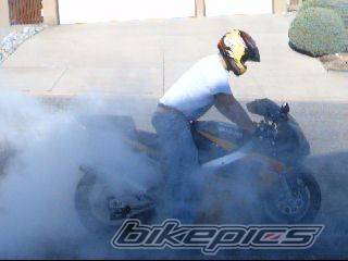 Photo 212996