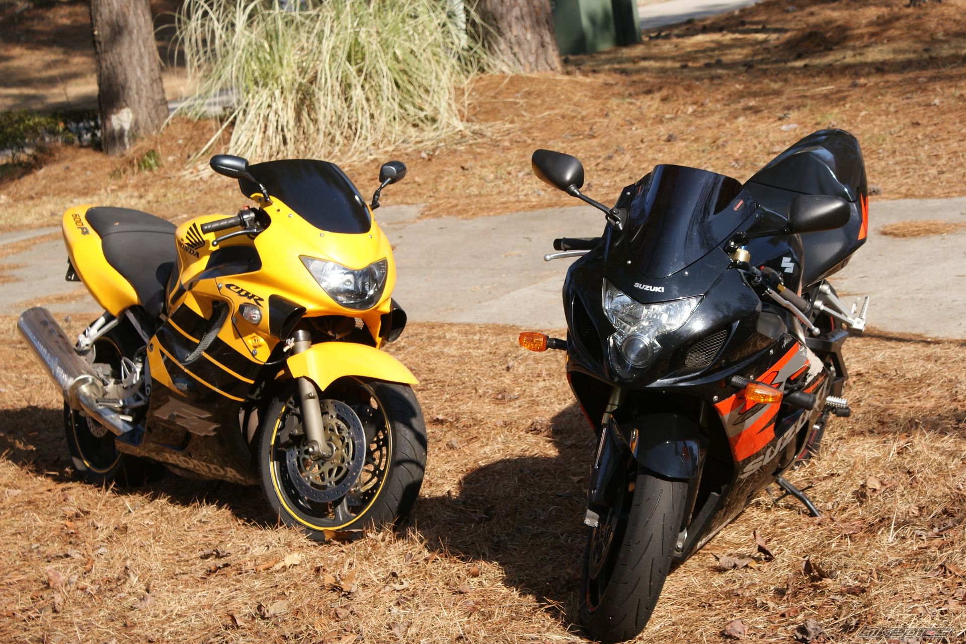 Photo 2129971