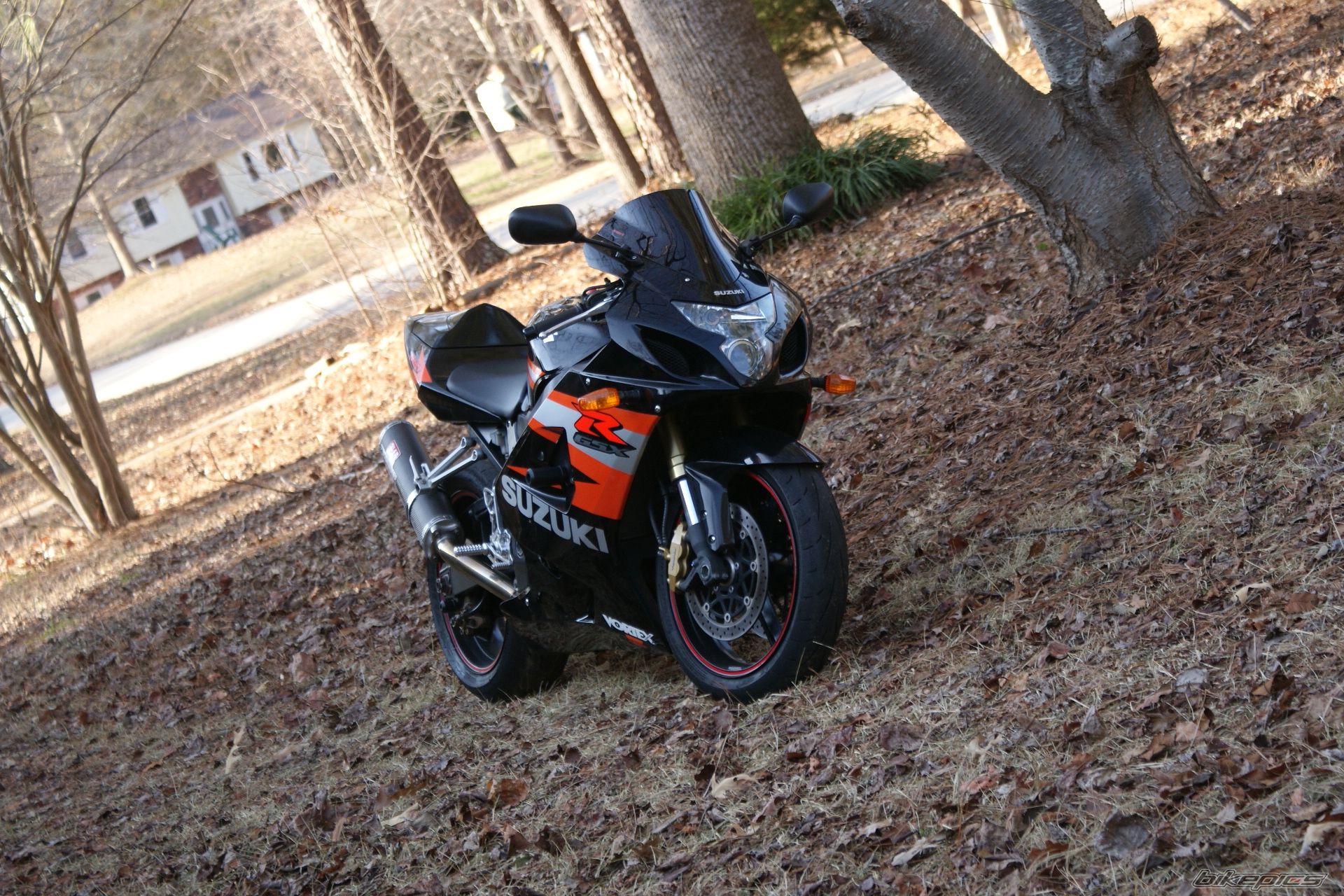 Photo 2129978