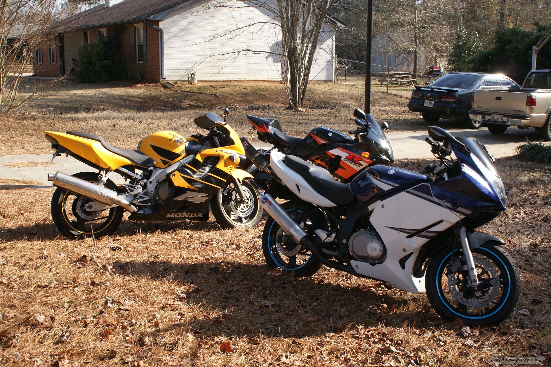 Photo 2129985