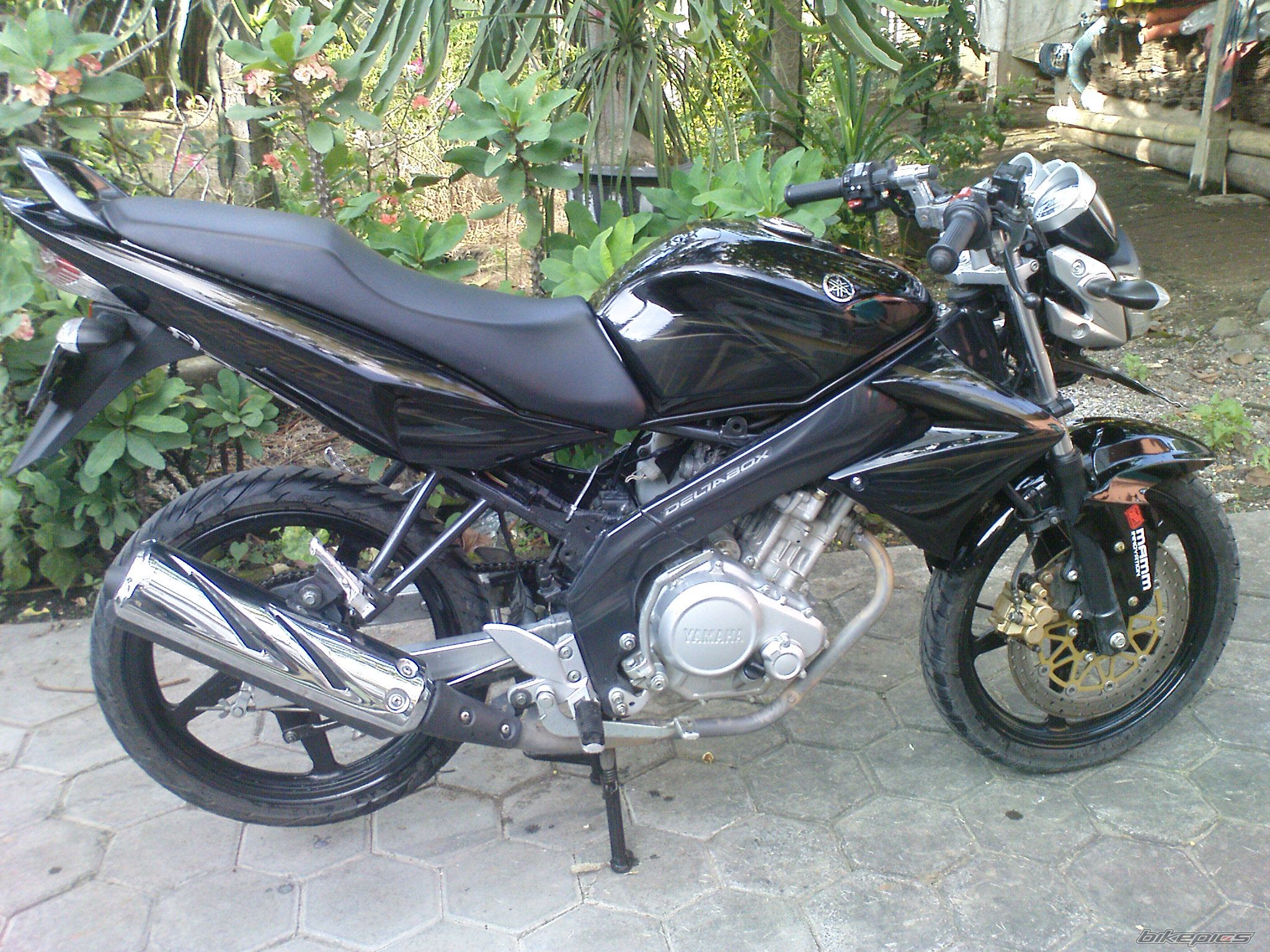 Photo 2130257