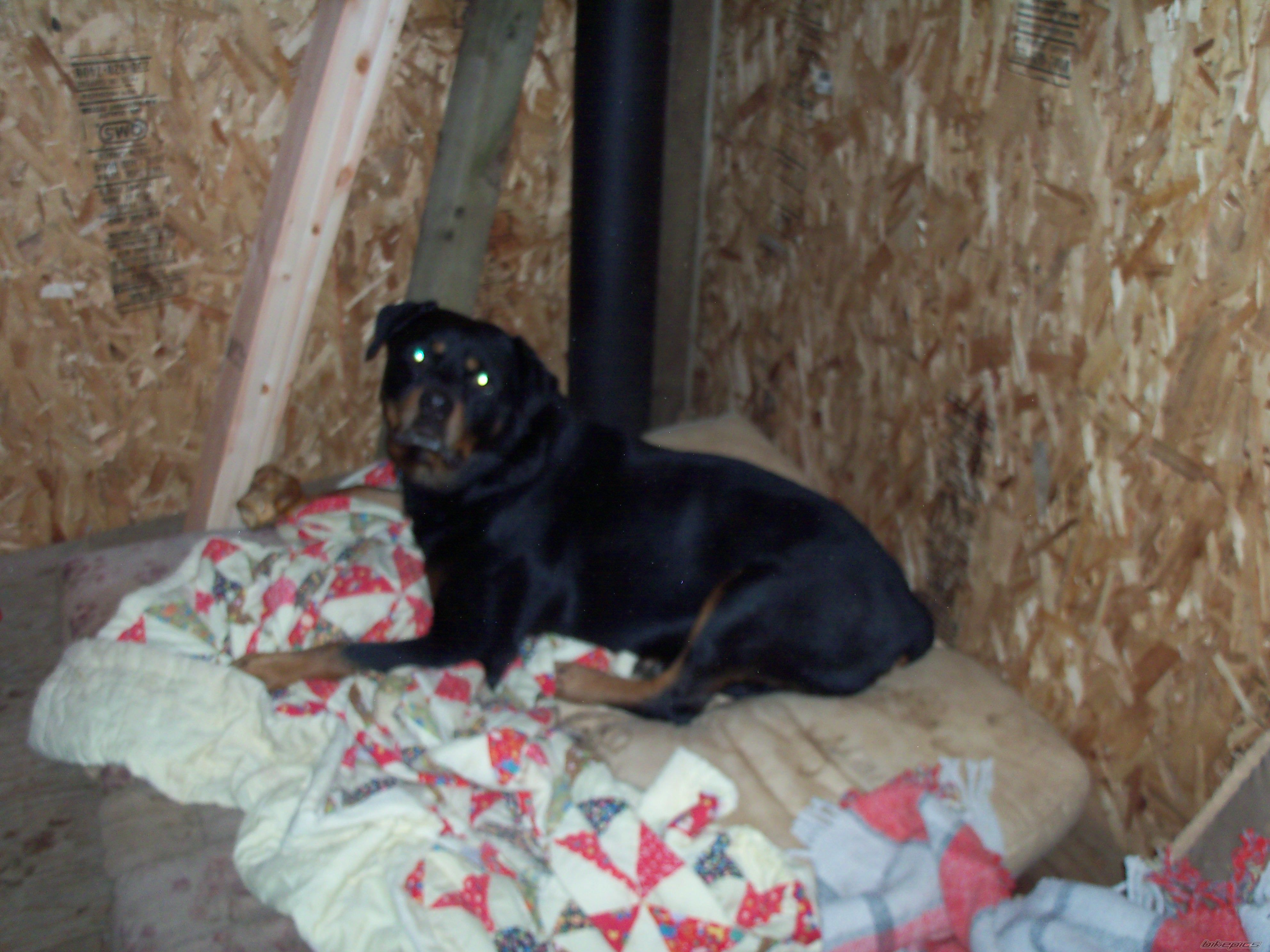Photo 2130283