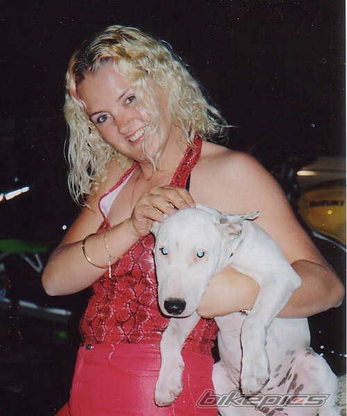 Photo 21303