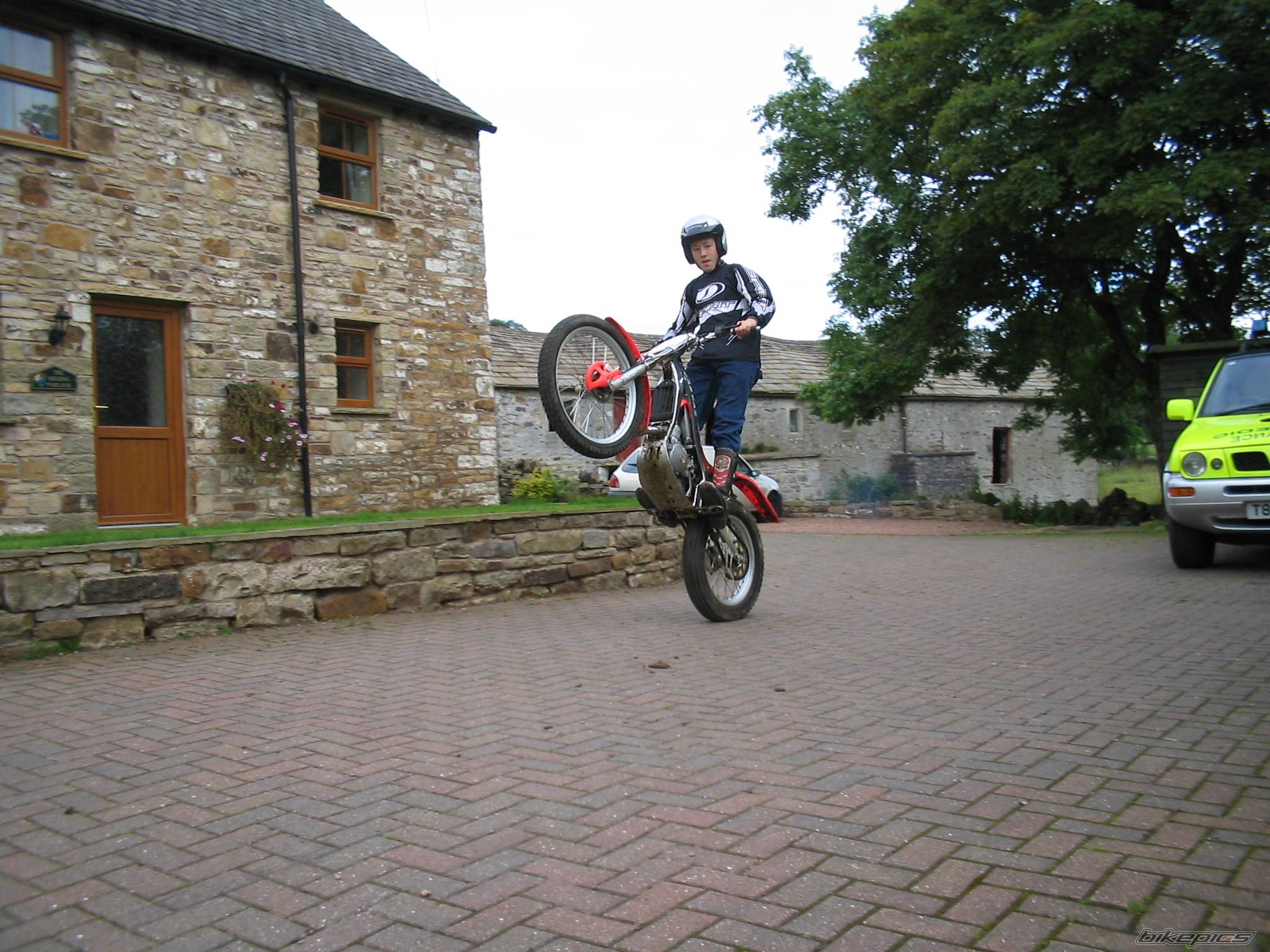 Photo 213031