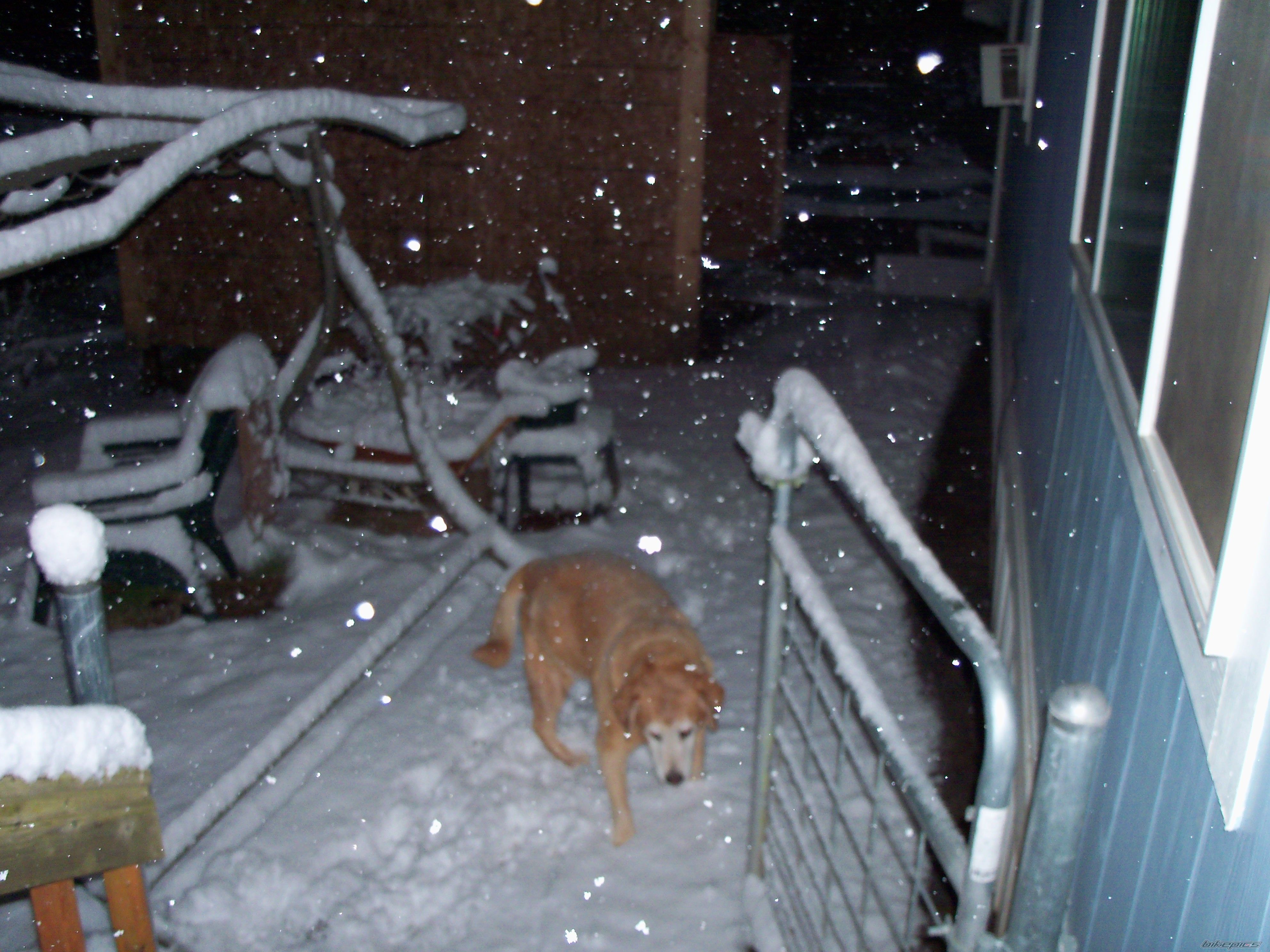 Photo 2130313