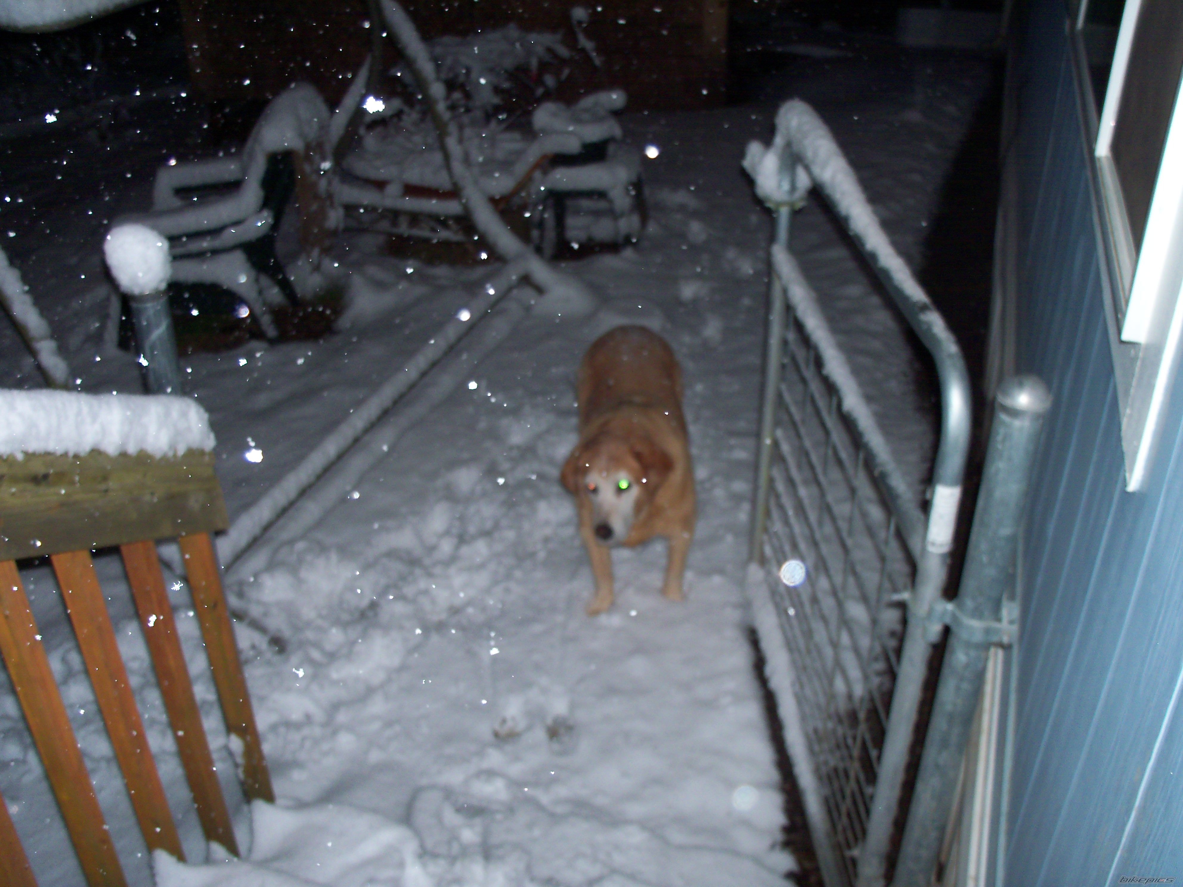 Photo 2130314
