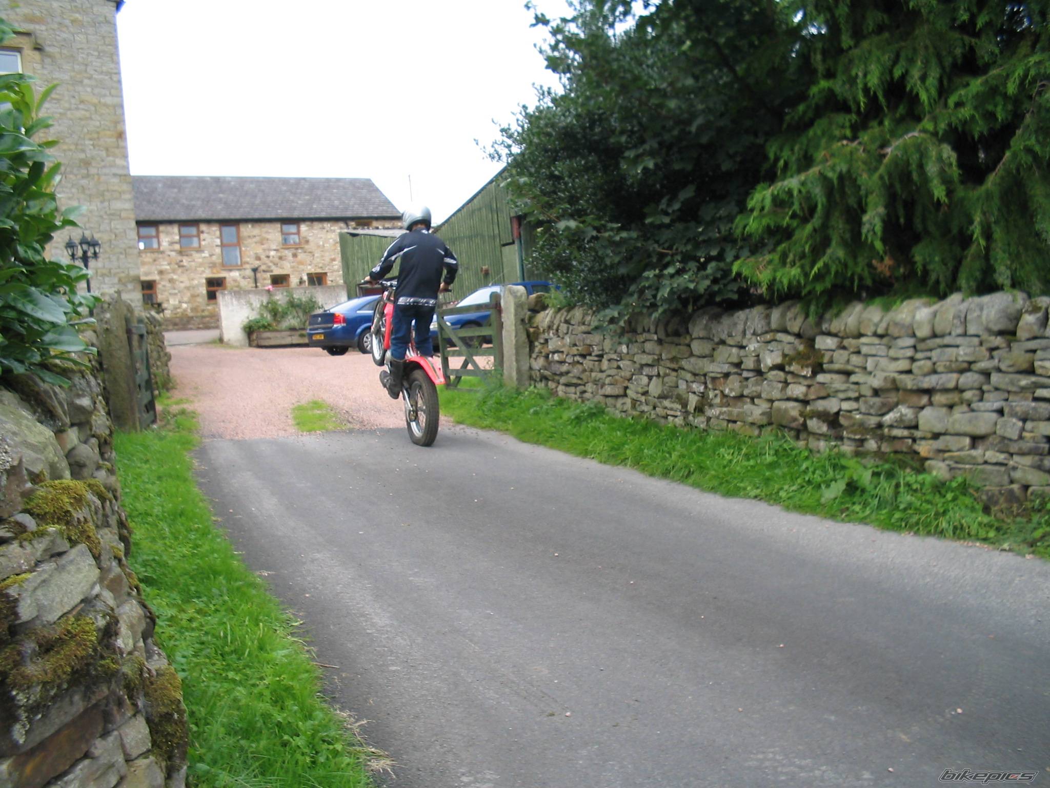 Photo 213034