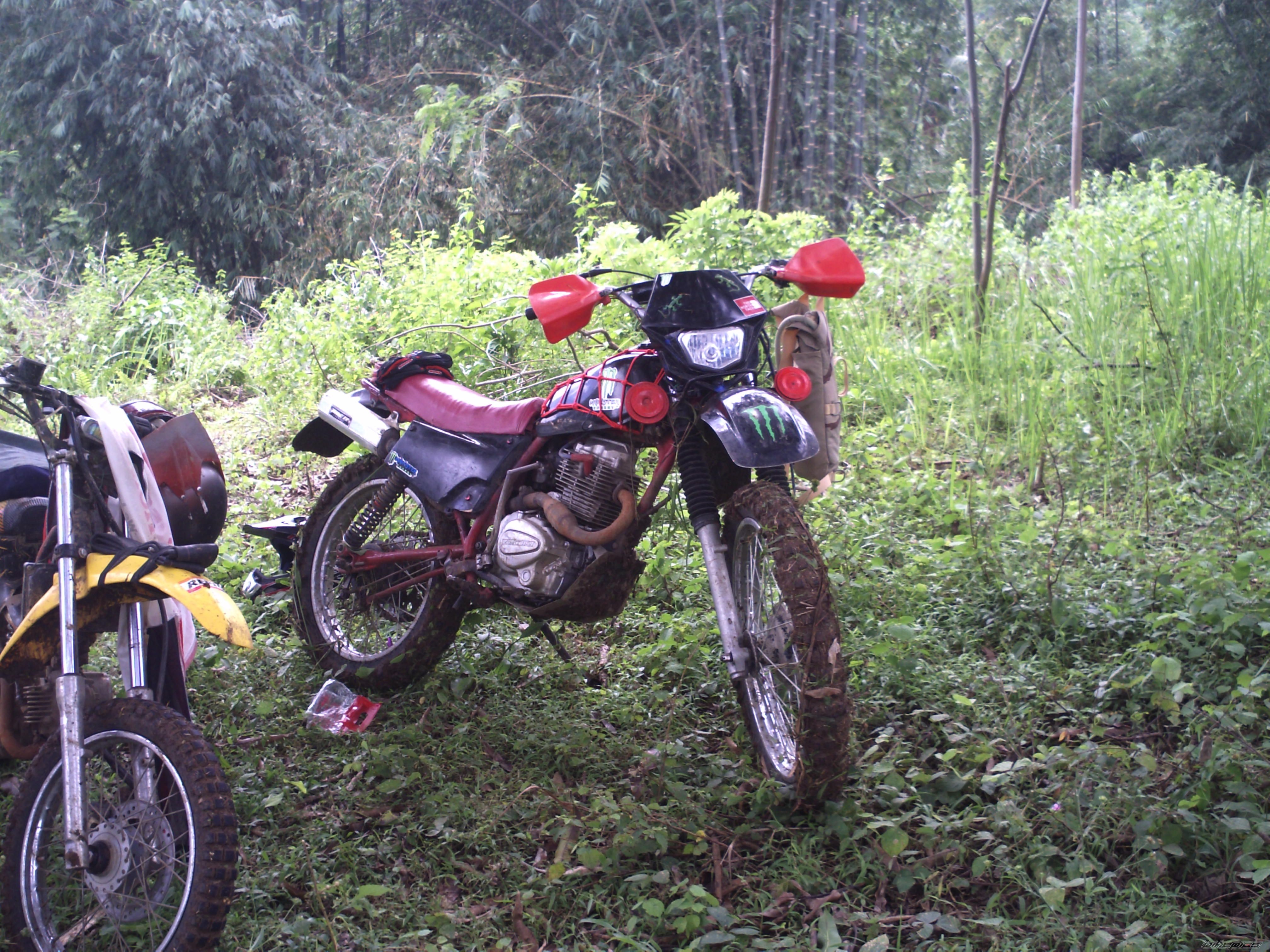 Photo 2130370