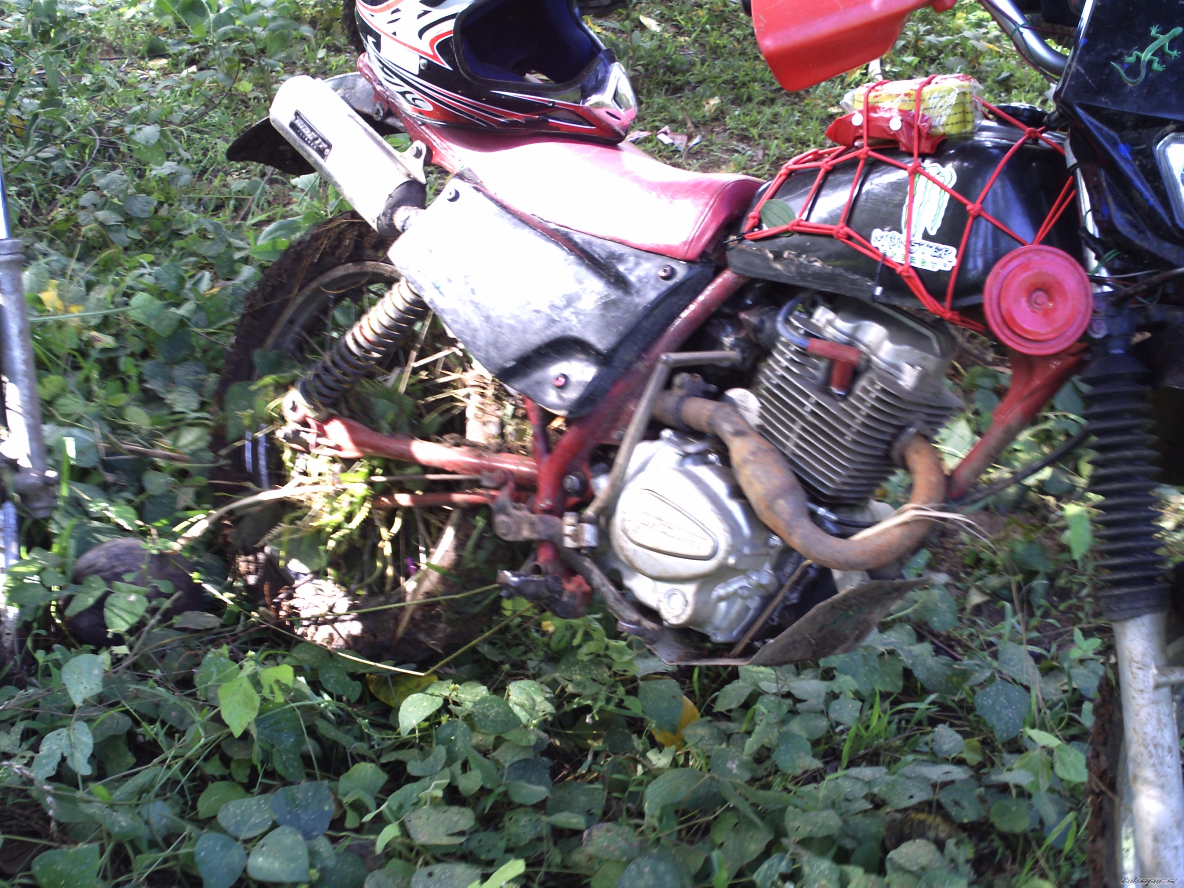 Photo 2130372