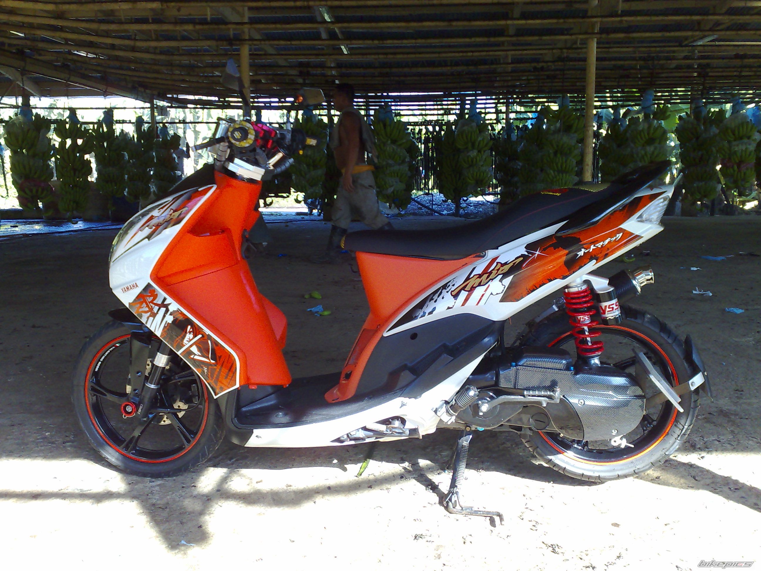 Photo 2130452