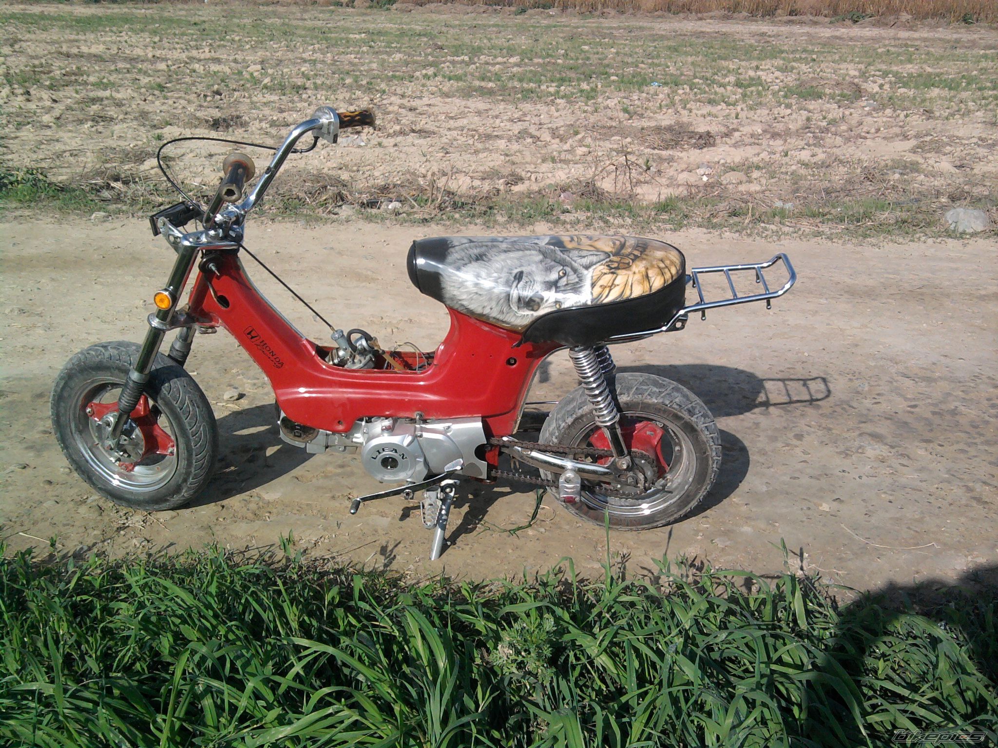 Photo 2130493