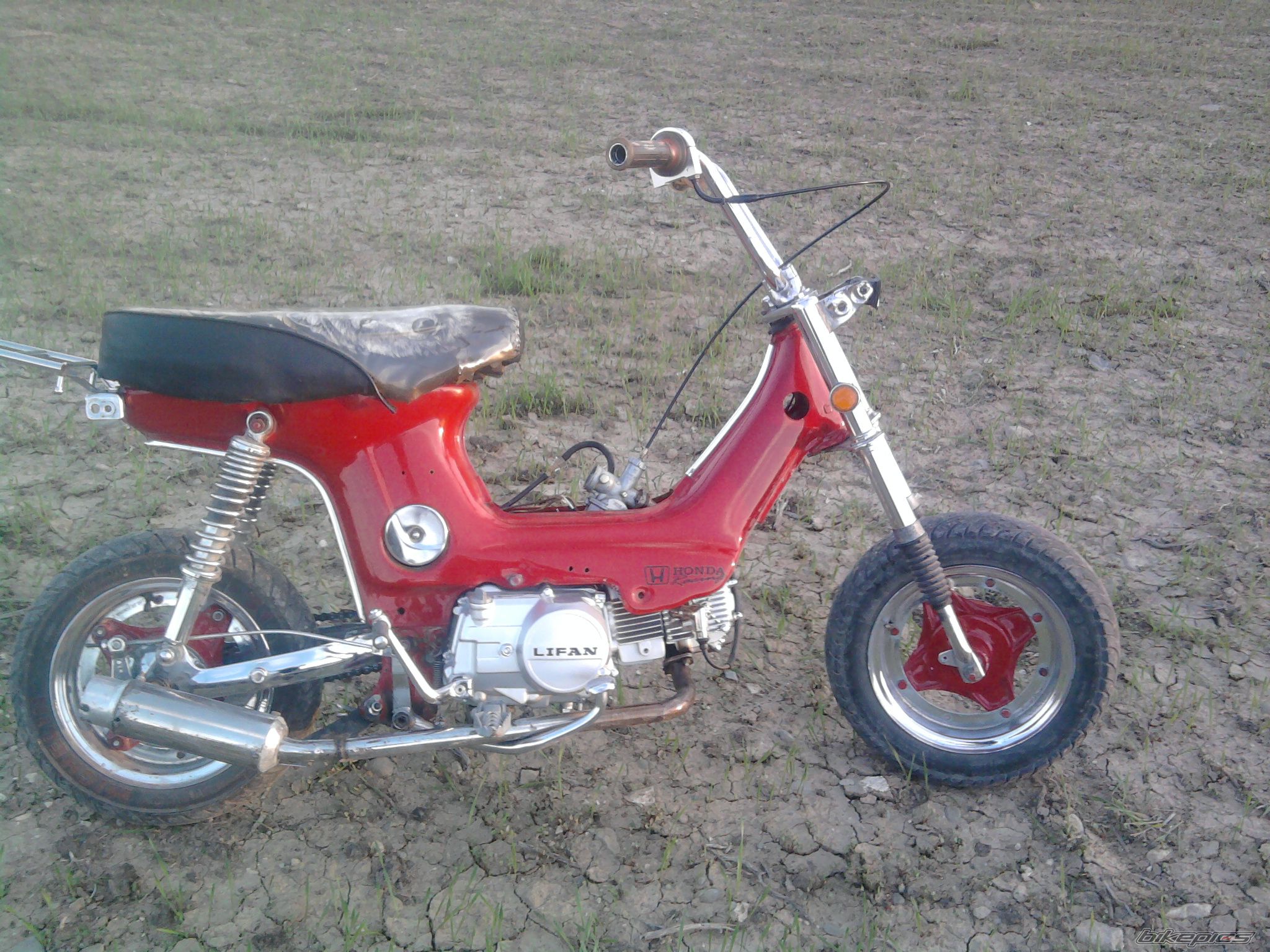 Photo 2130502