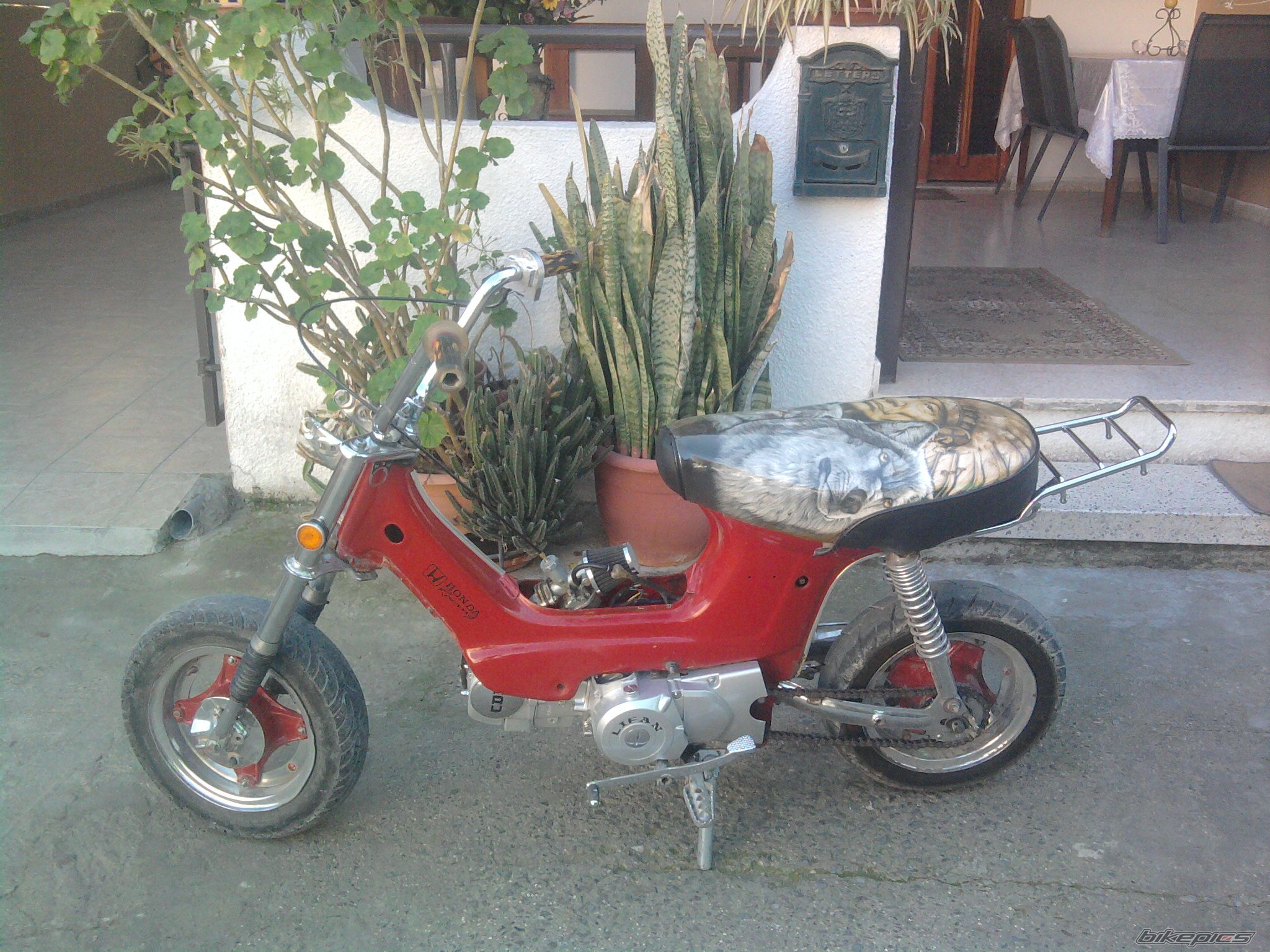 Photo 2130503