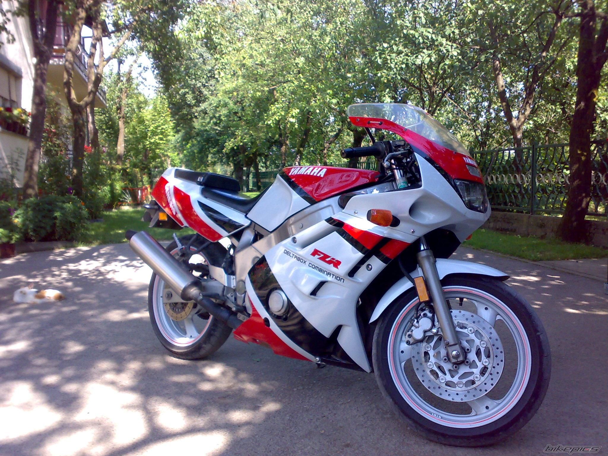 Photo 2130555