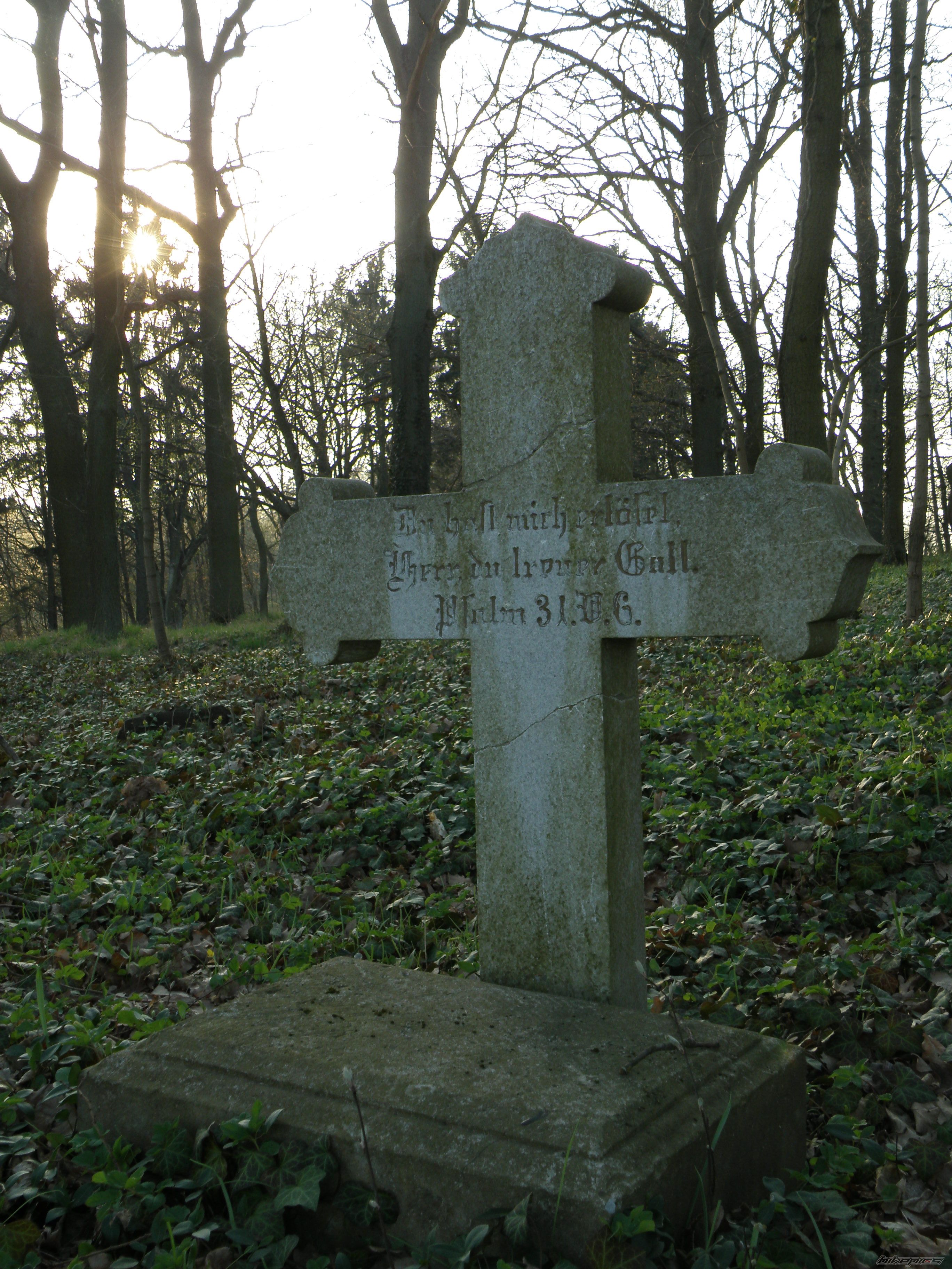 Photo 2130576