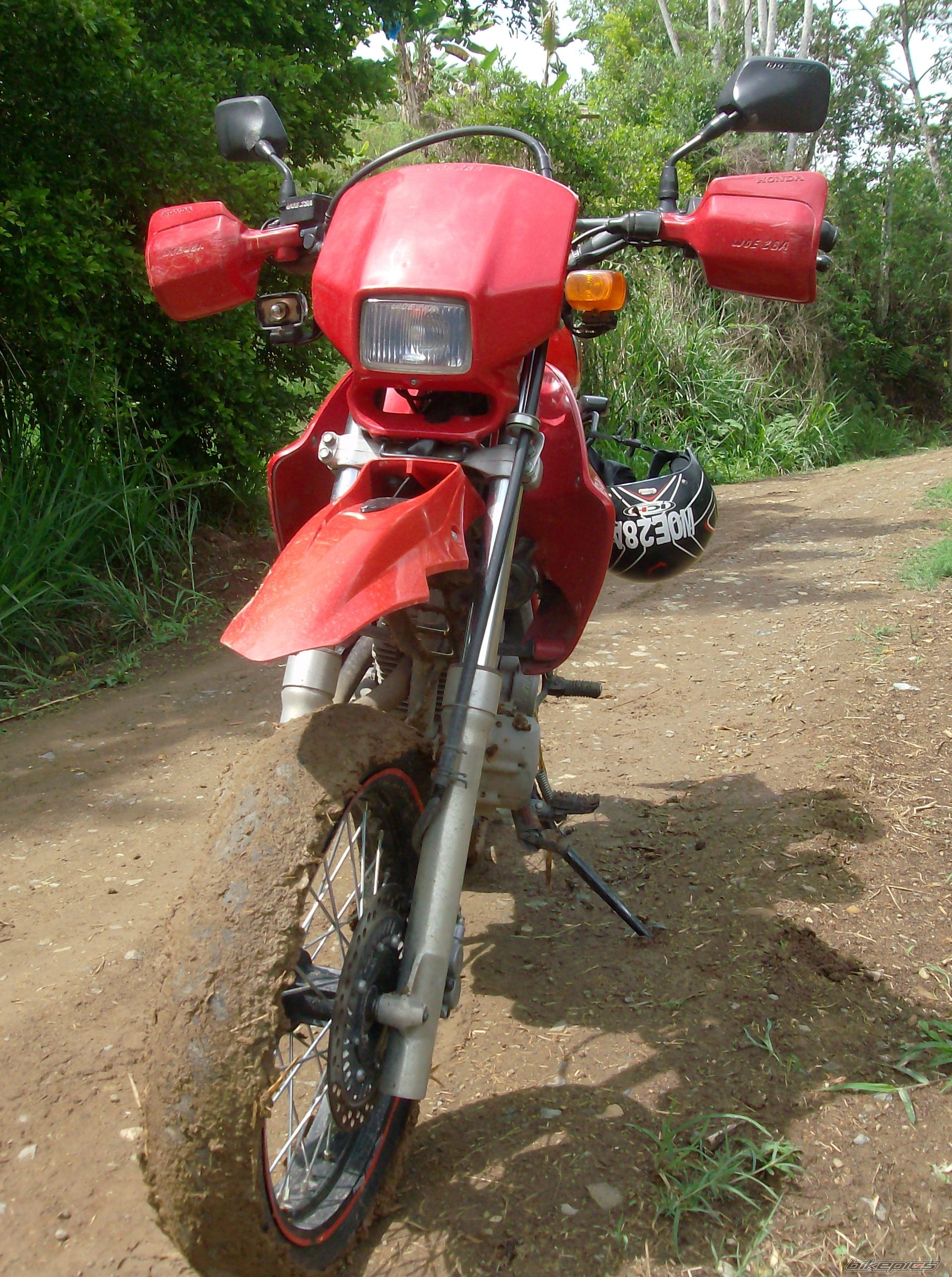 Photo 2130582