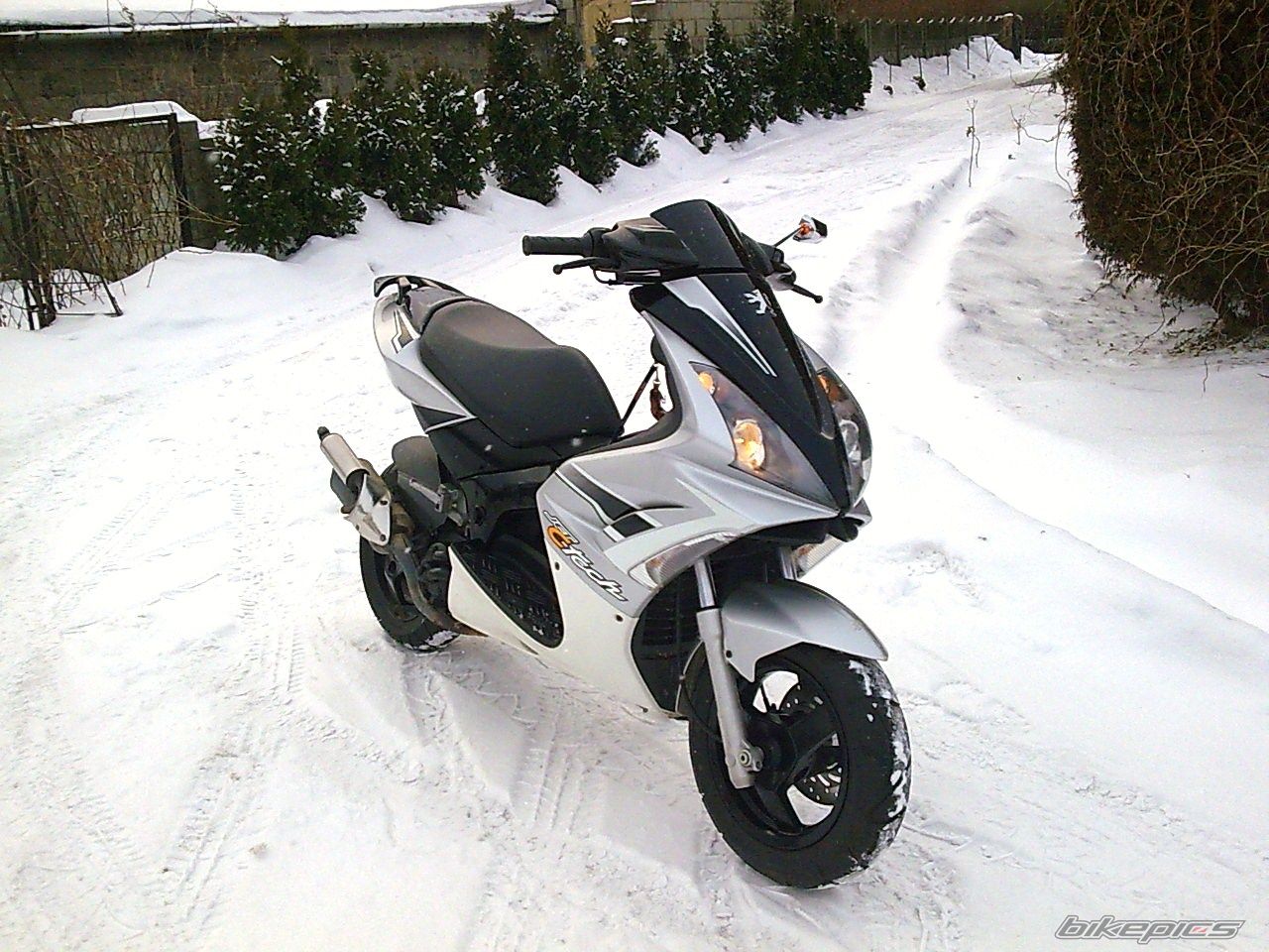 Photo 2130692