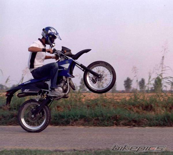 Photo 213098