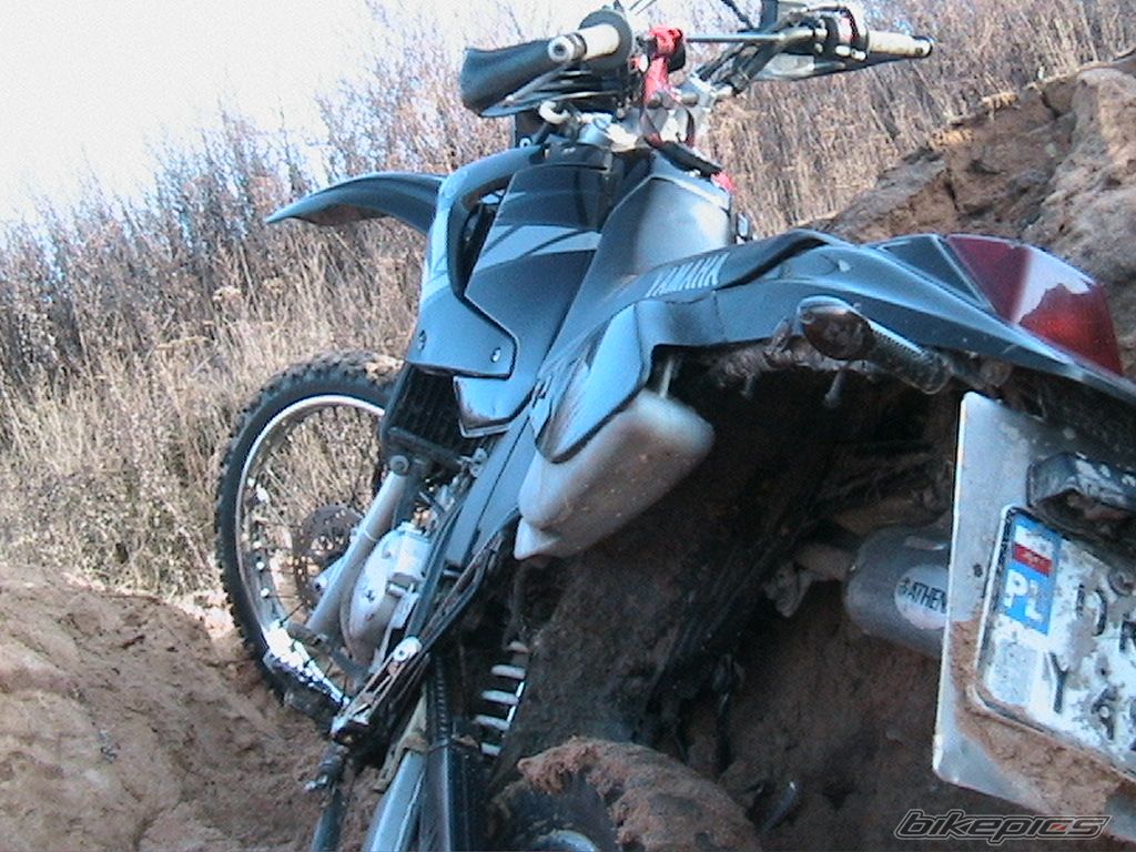 Photo 2131050