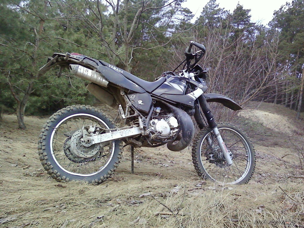 Photo 2131063