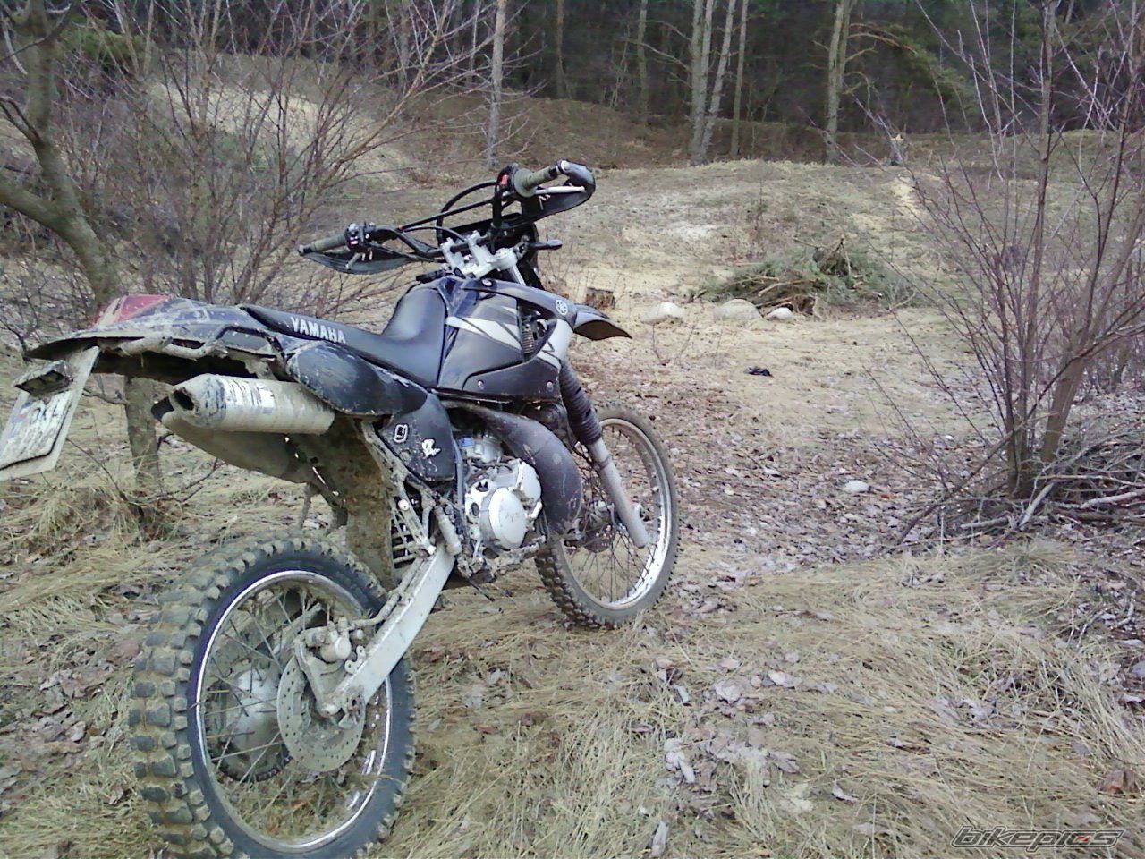 Photo 2131064