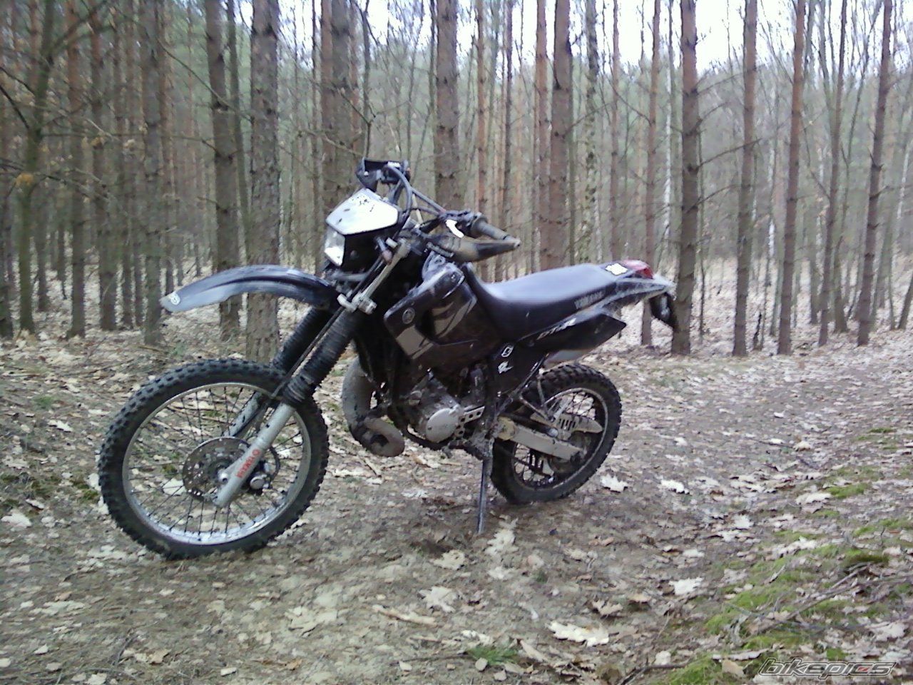 Photo 2131065