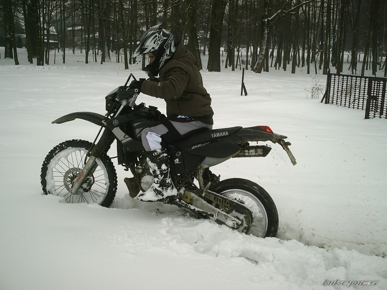 Photo 2131072