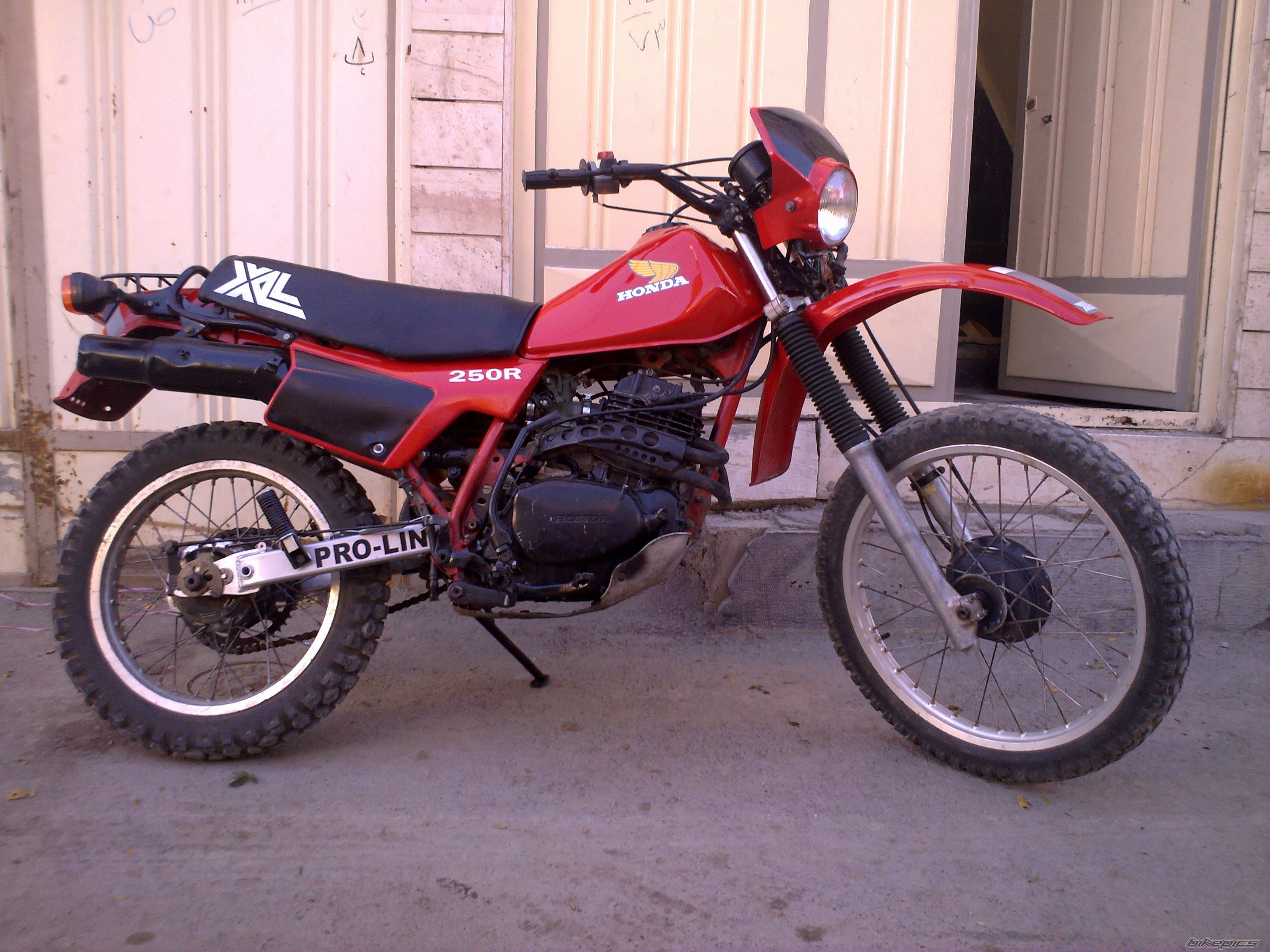Photo 2131183