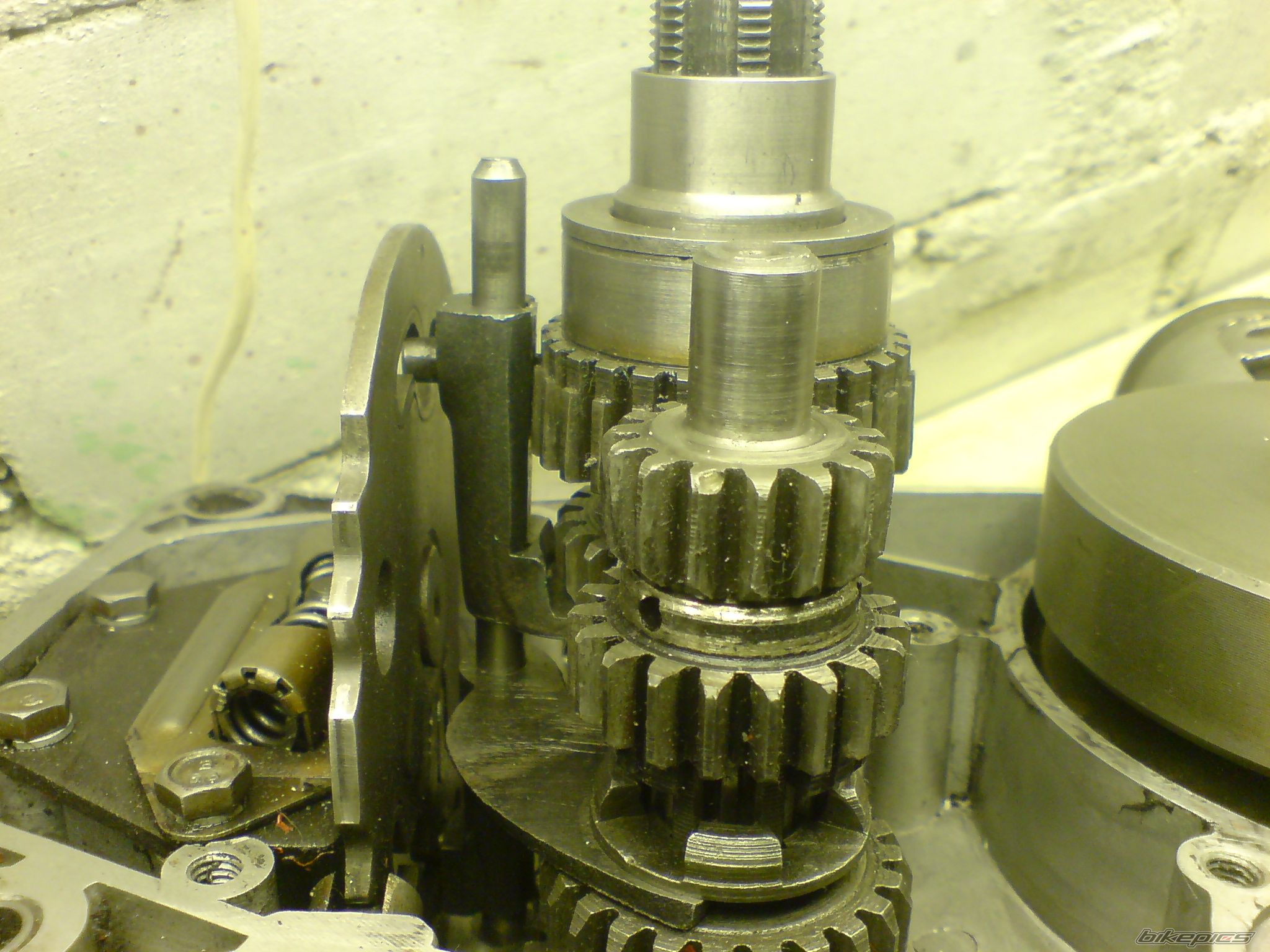 Photo 2131257
