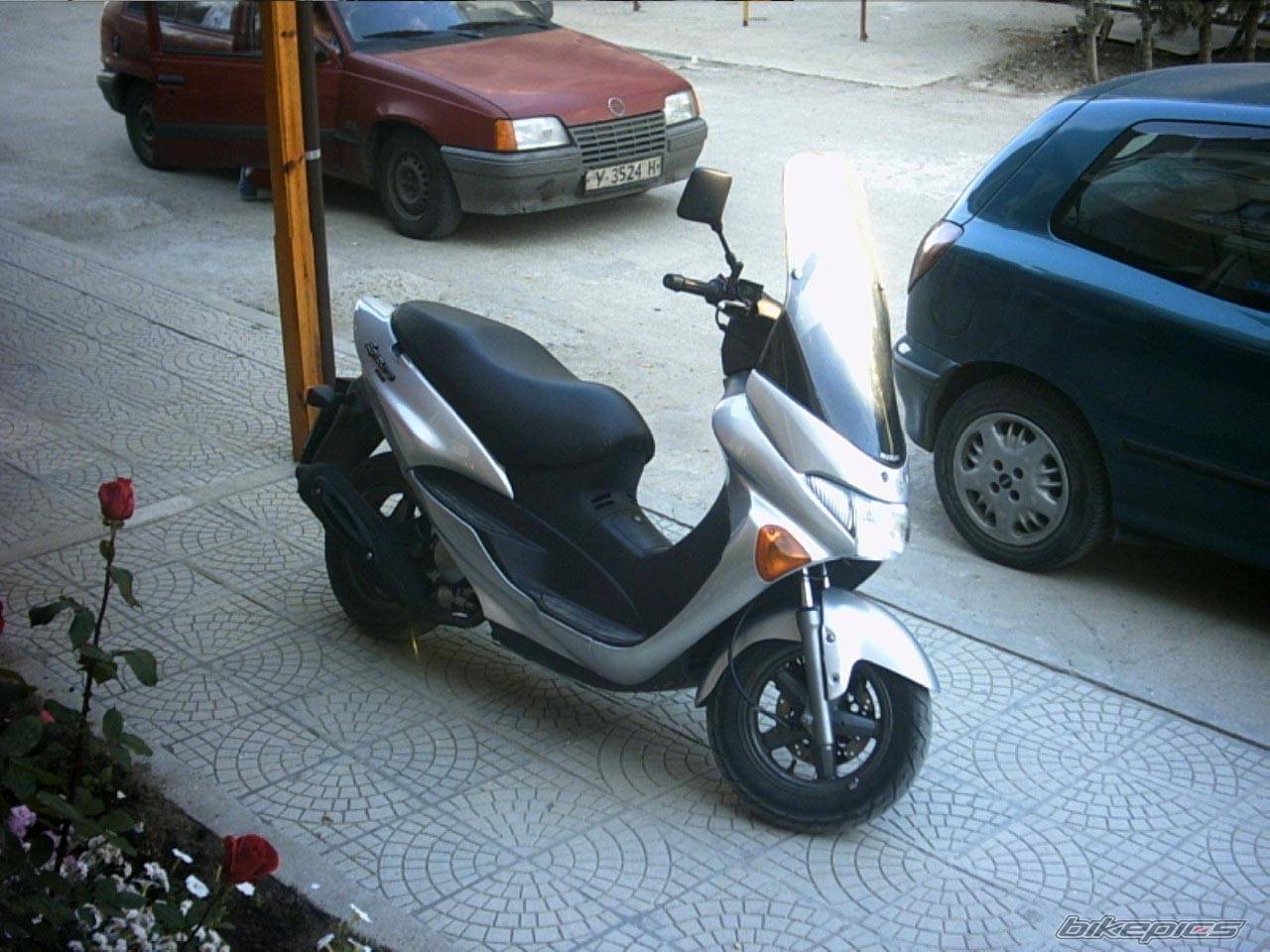 Photo 213133