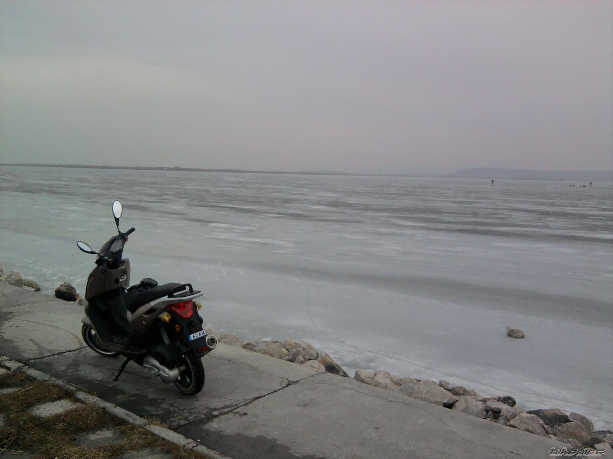 Photo 2131388