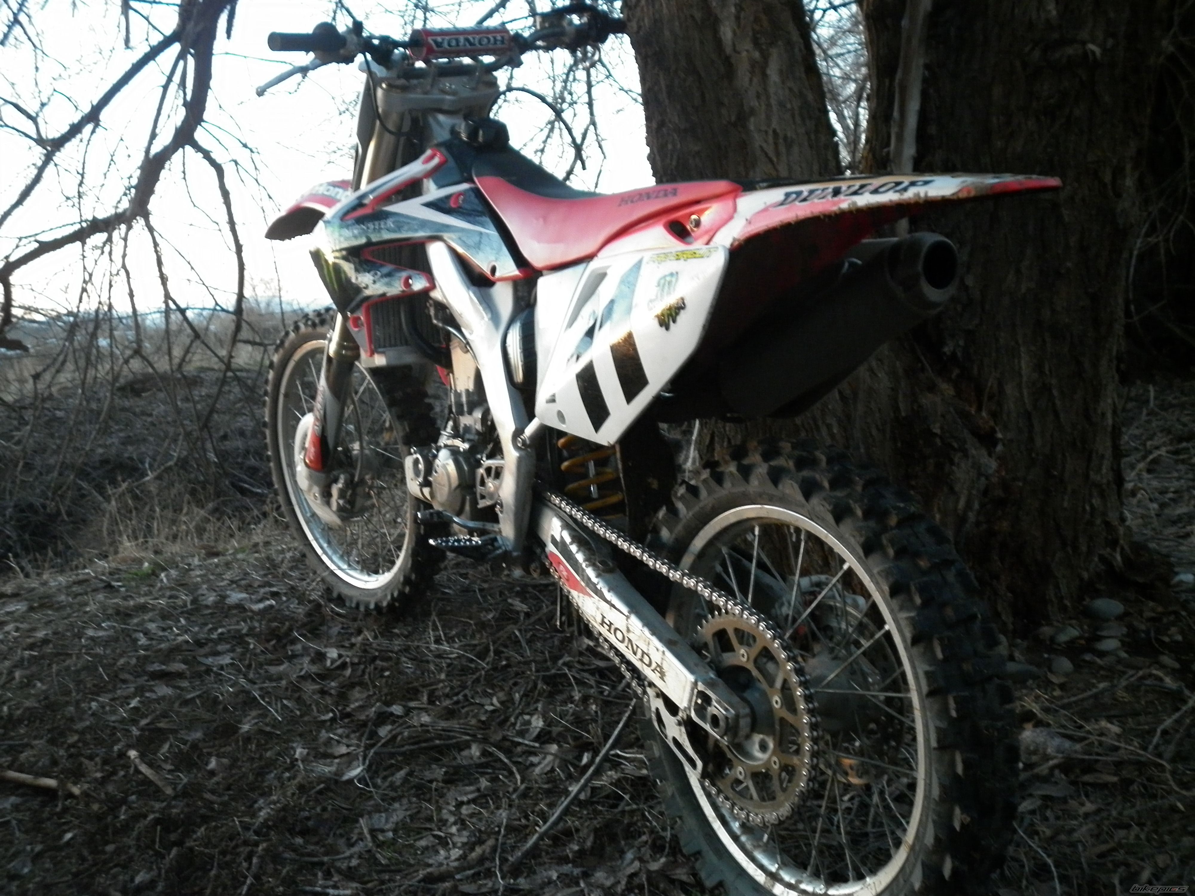 Photo 2131426