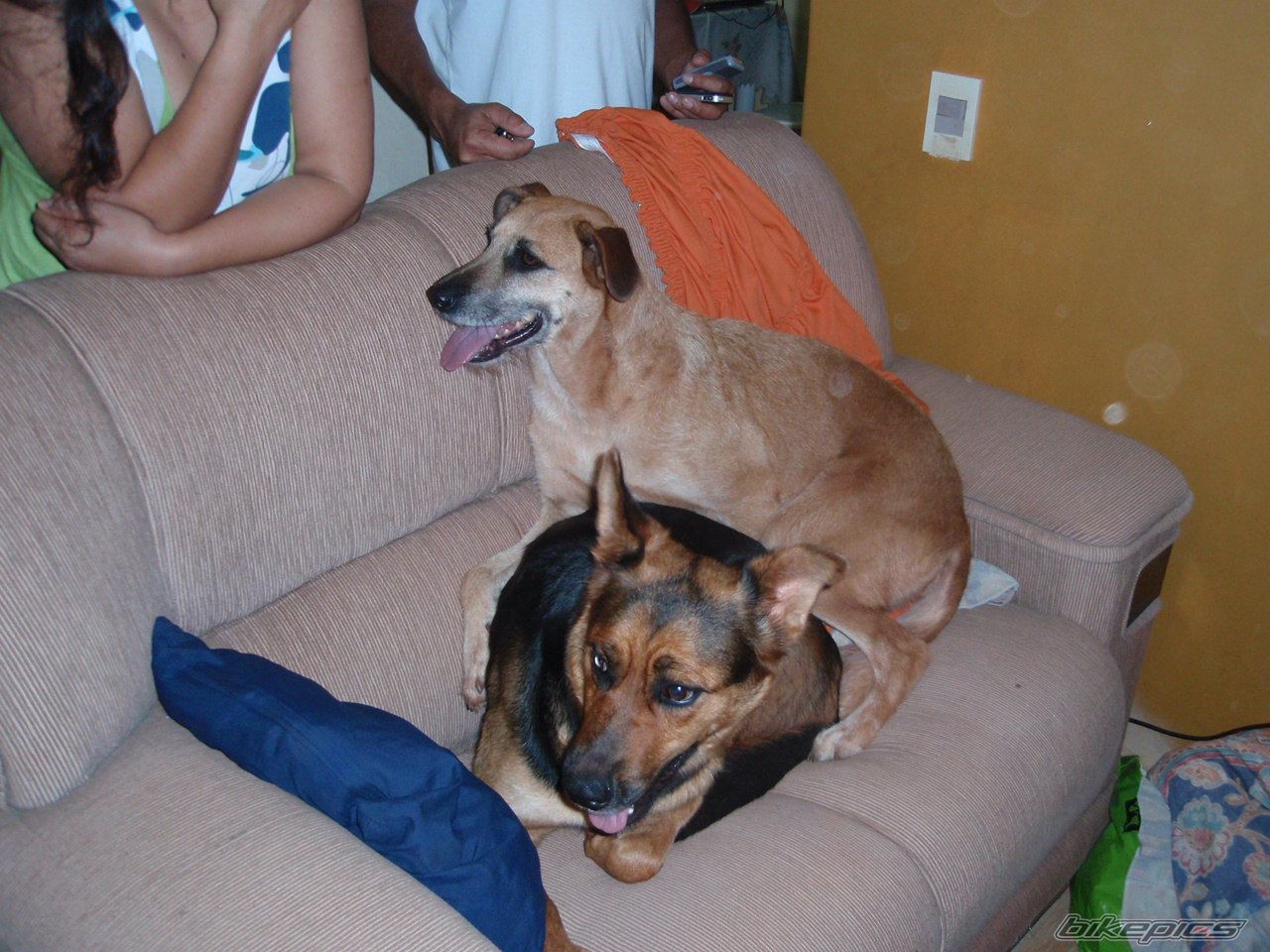 Photo 2131438