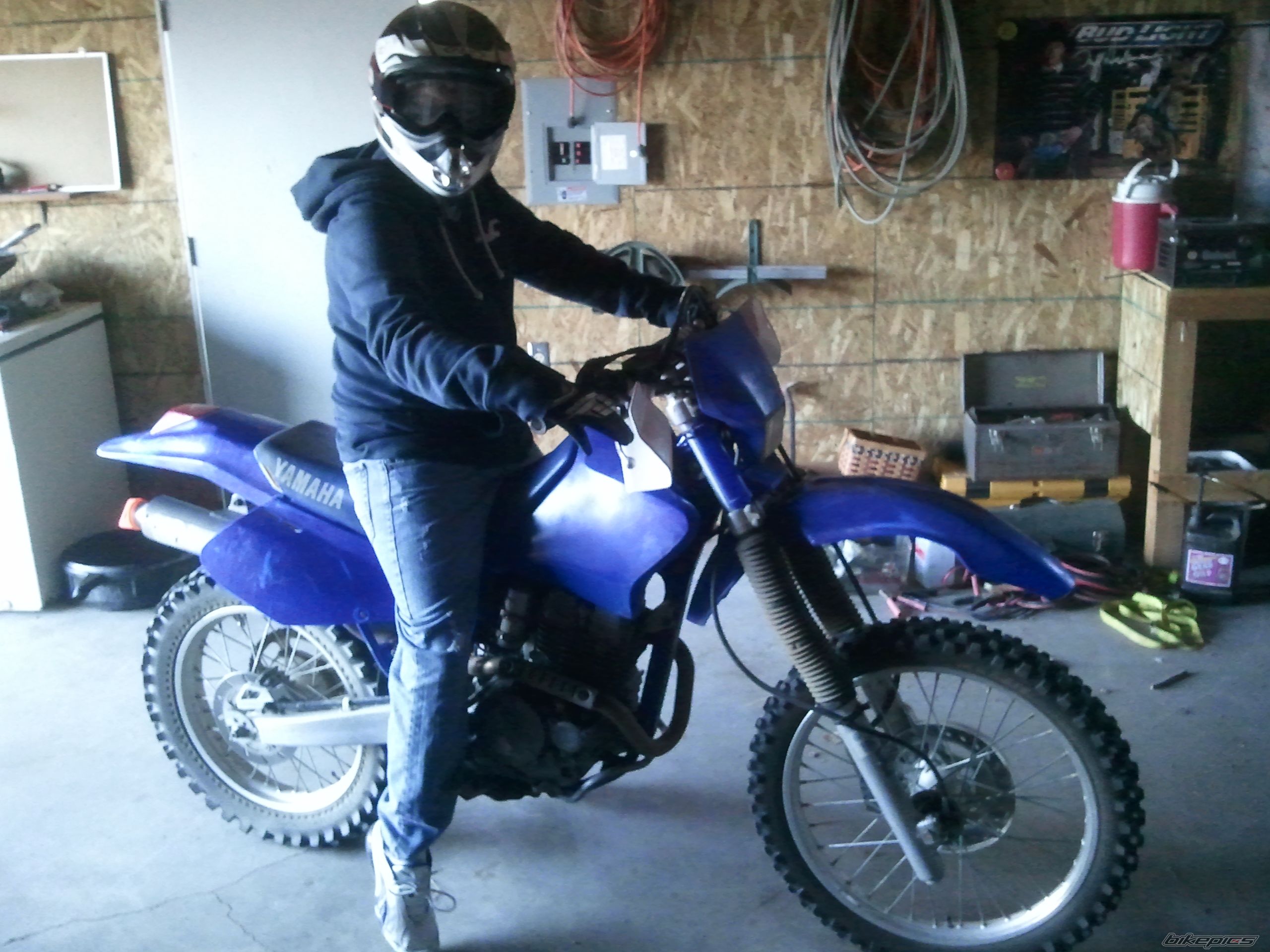 Photo 2131618